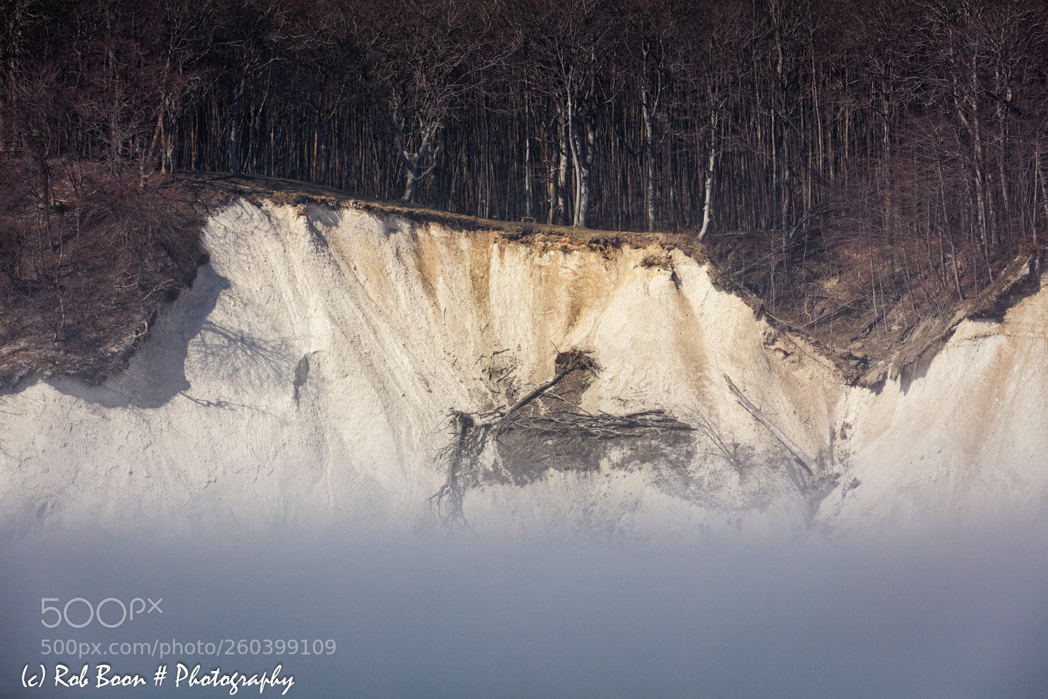 Canon EOS 5DS sample photo. Limestone cliffs jasmund national photography
