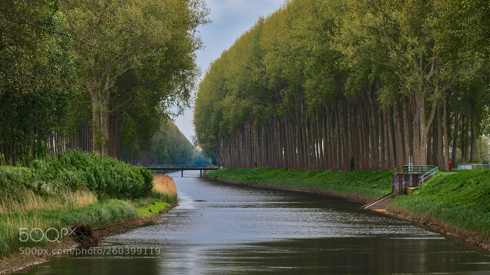 Nikon D850 sample photo. Schipdonkvaart zuid photography