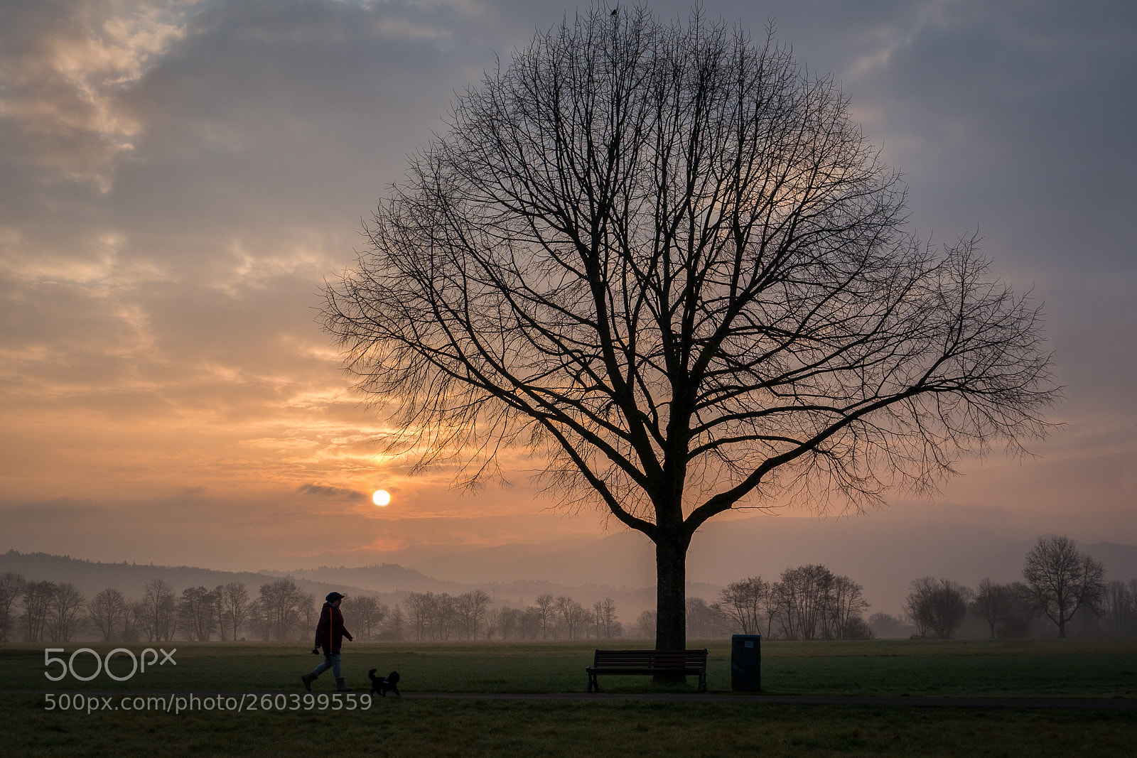 Panasonic Lumix DMC-GX7 sample photo. Morning walk photography