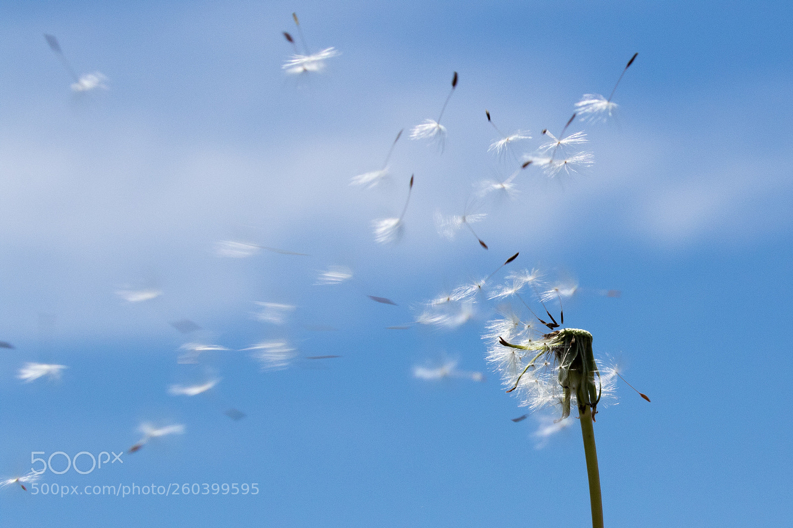 Canon EOS 7D Mark II sample photo. Untitled photography