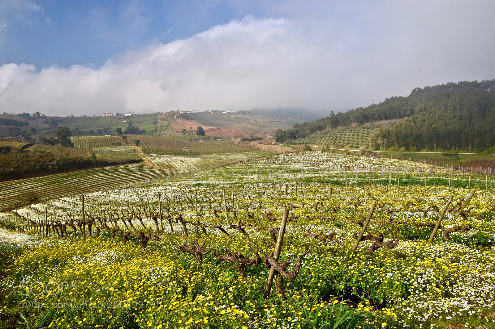 Nikon D5300 sample photo. Rural landscape (dsc_6908) photography