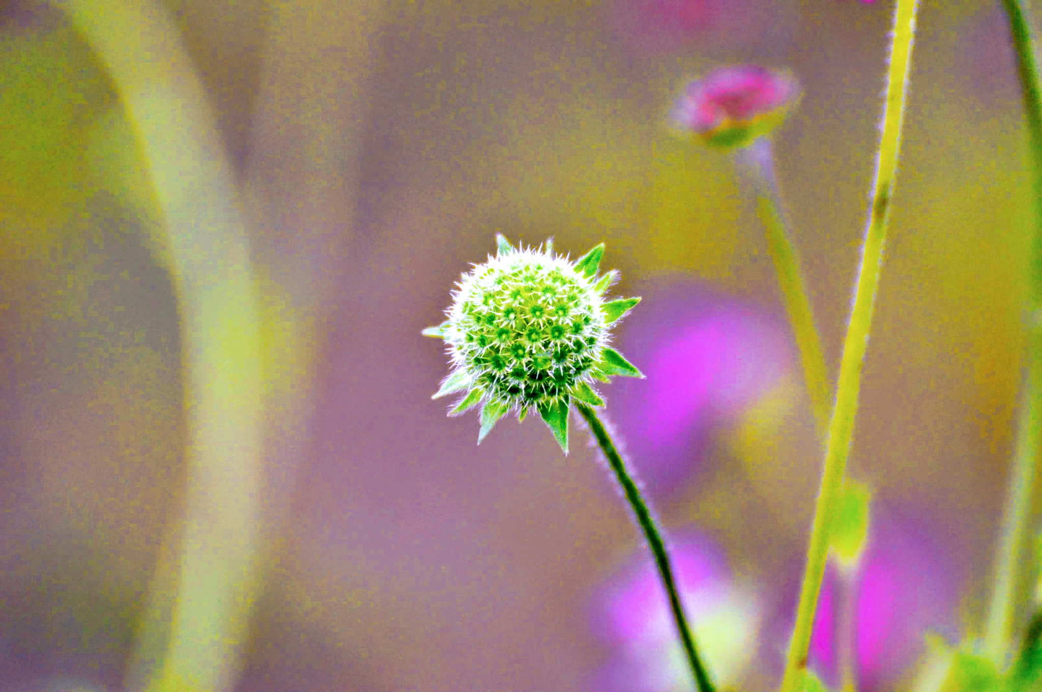 Nikon D90 sample photo