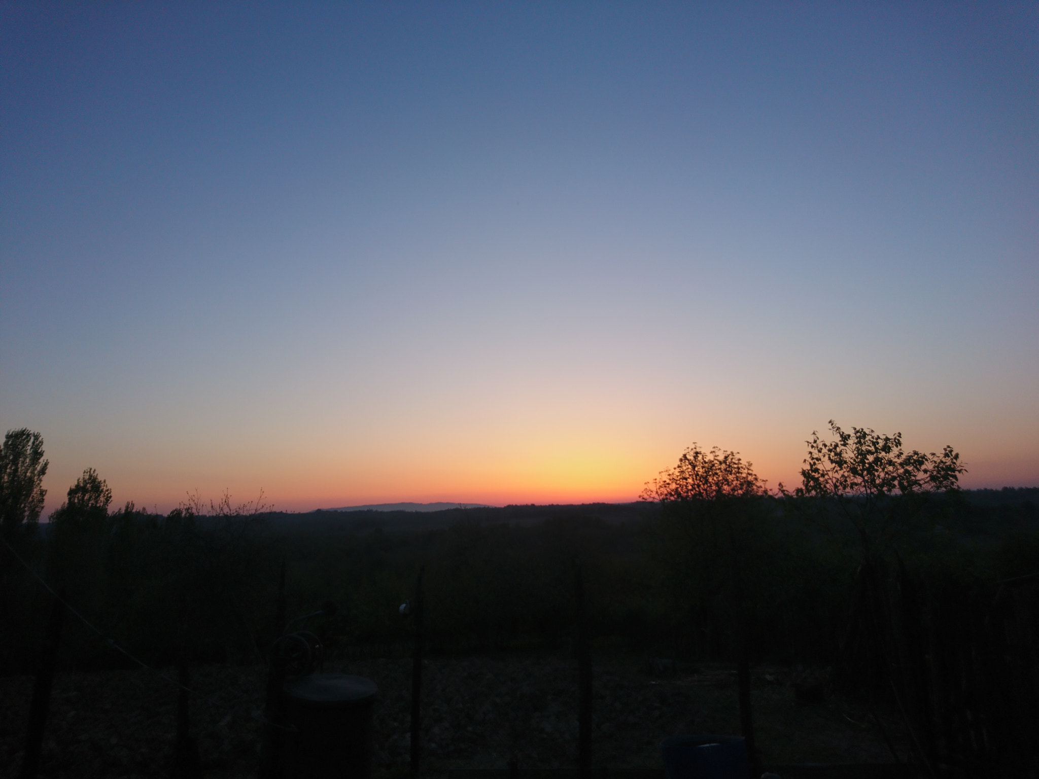 Sony Xperia X sample photo