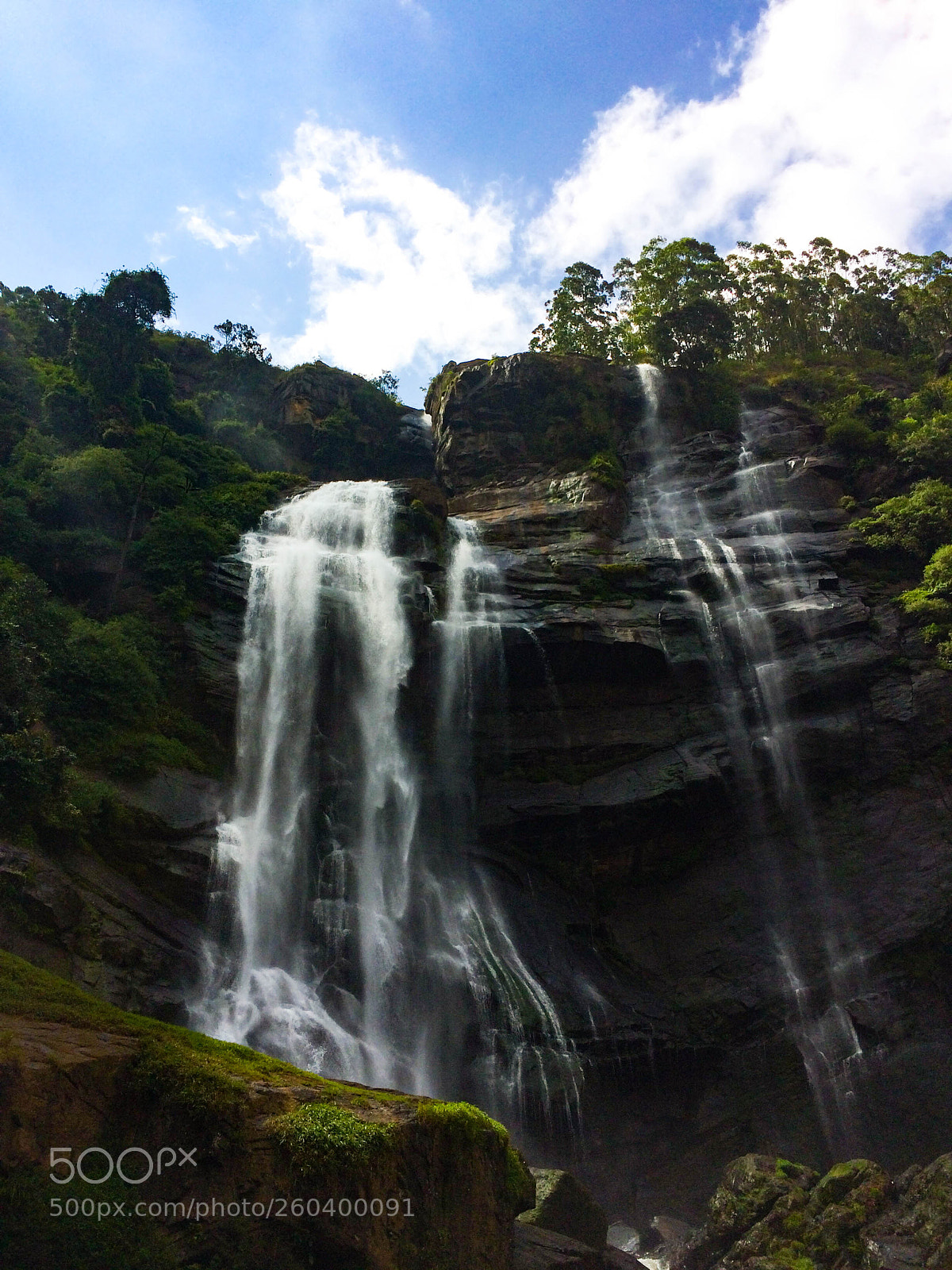Apple iPhone 5s sample photo. Queen of water photography