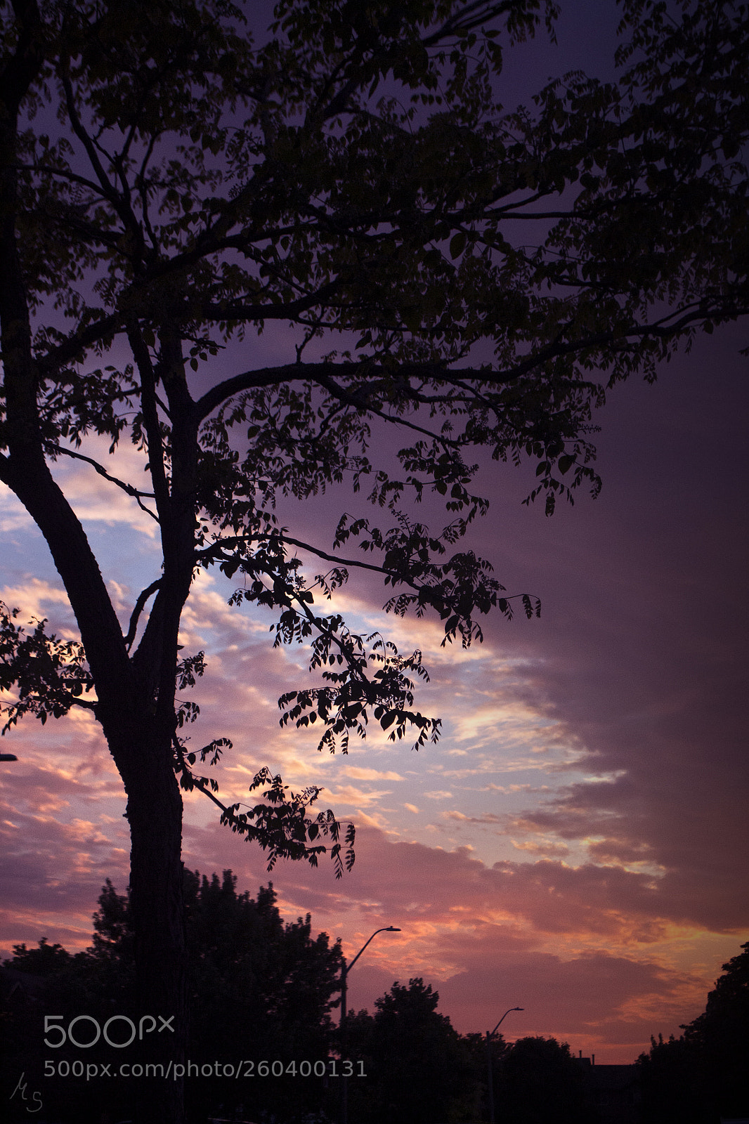 Nikon D3100 sample photo. Silhouette // landscape photography