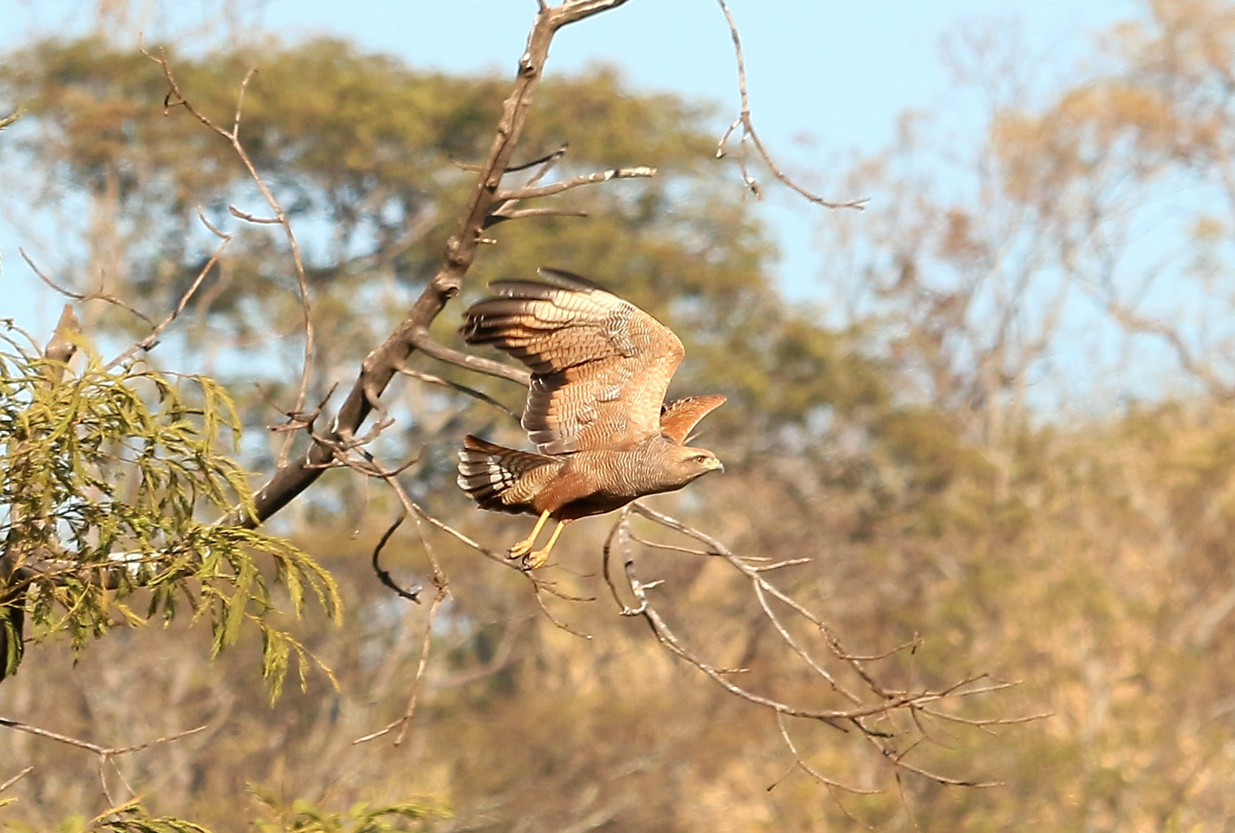 Canon EOS 700D (EOS Rebel T5i / EOS Kiss X7i) sample photo