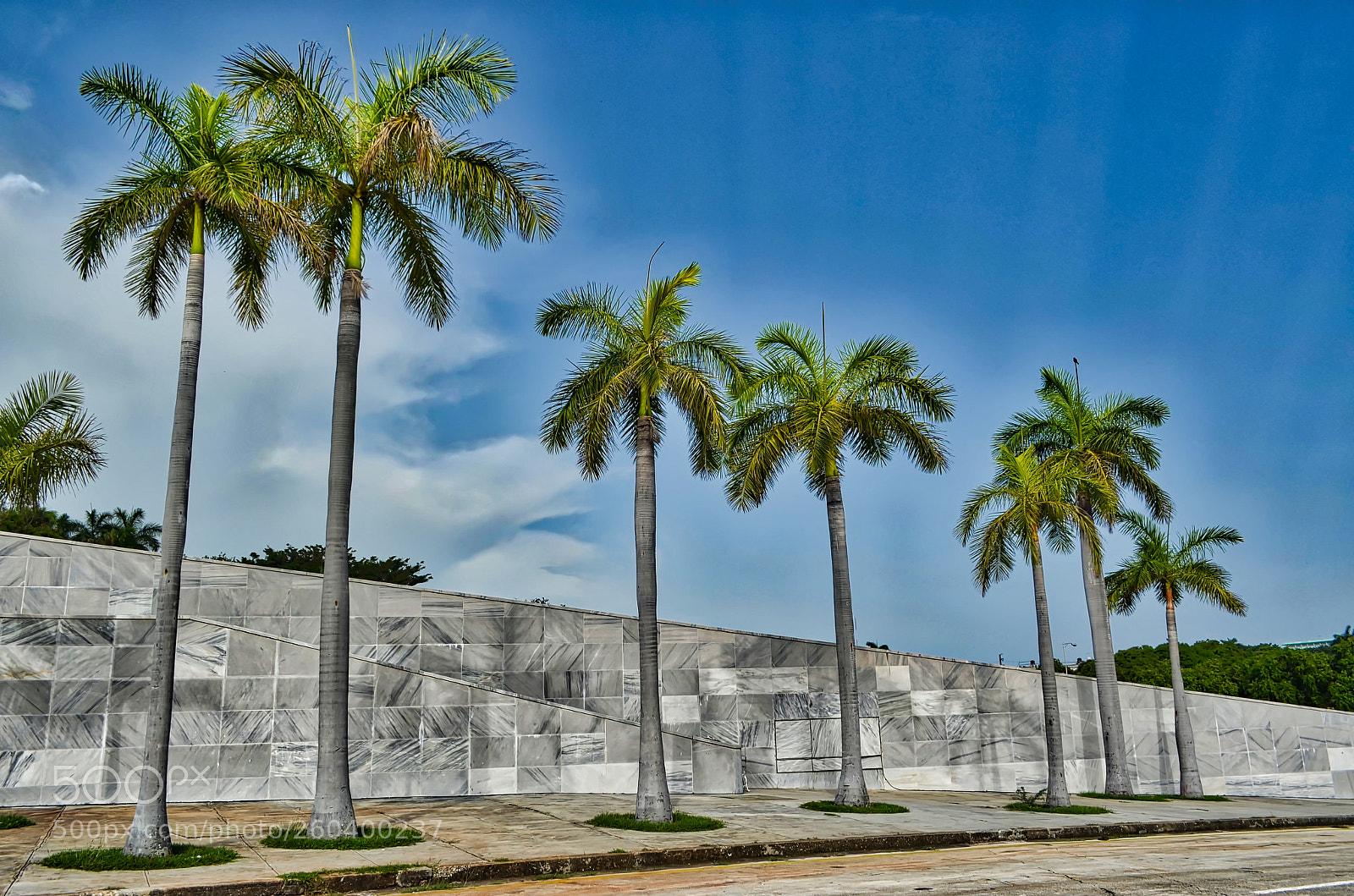 Nikon D5100 sample photo. 7 palms in havana photography