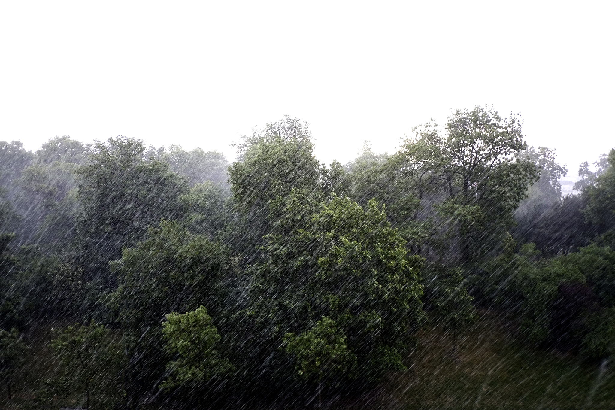 Fujifilm X-E1 sample photo. Rain photography