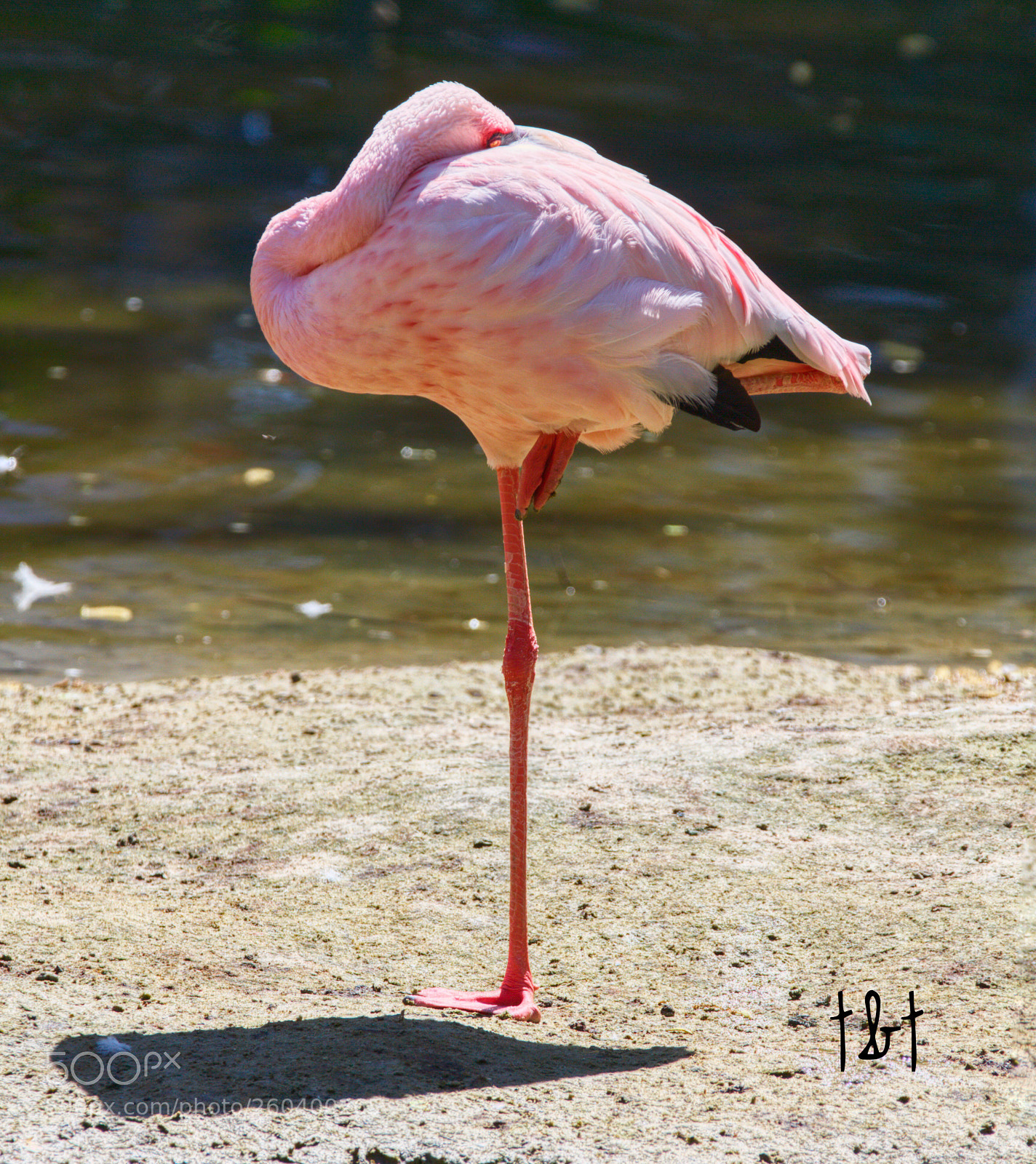 Canon EOS 7D sample photo. Untitled photography