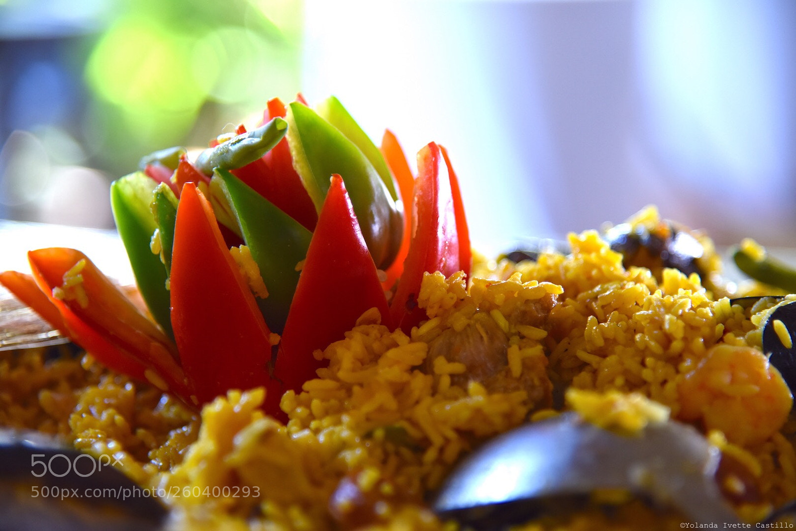 Nikon D810 sample photo. Untitled photography