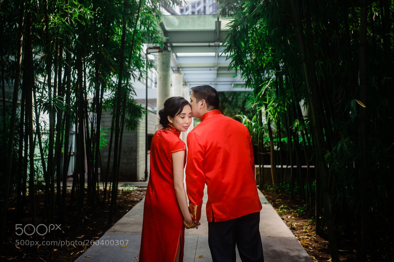 Nikon D850 sample photo. Untitled photography