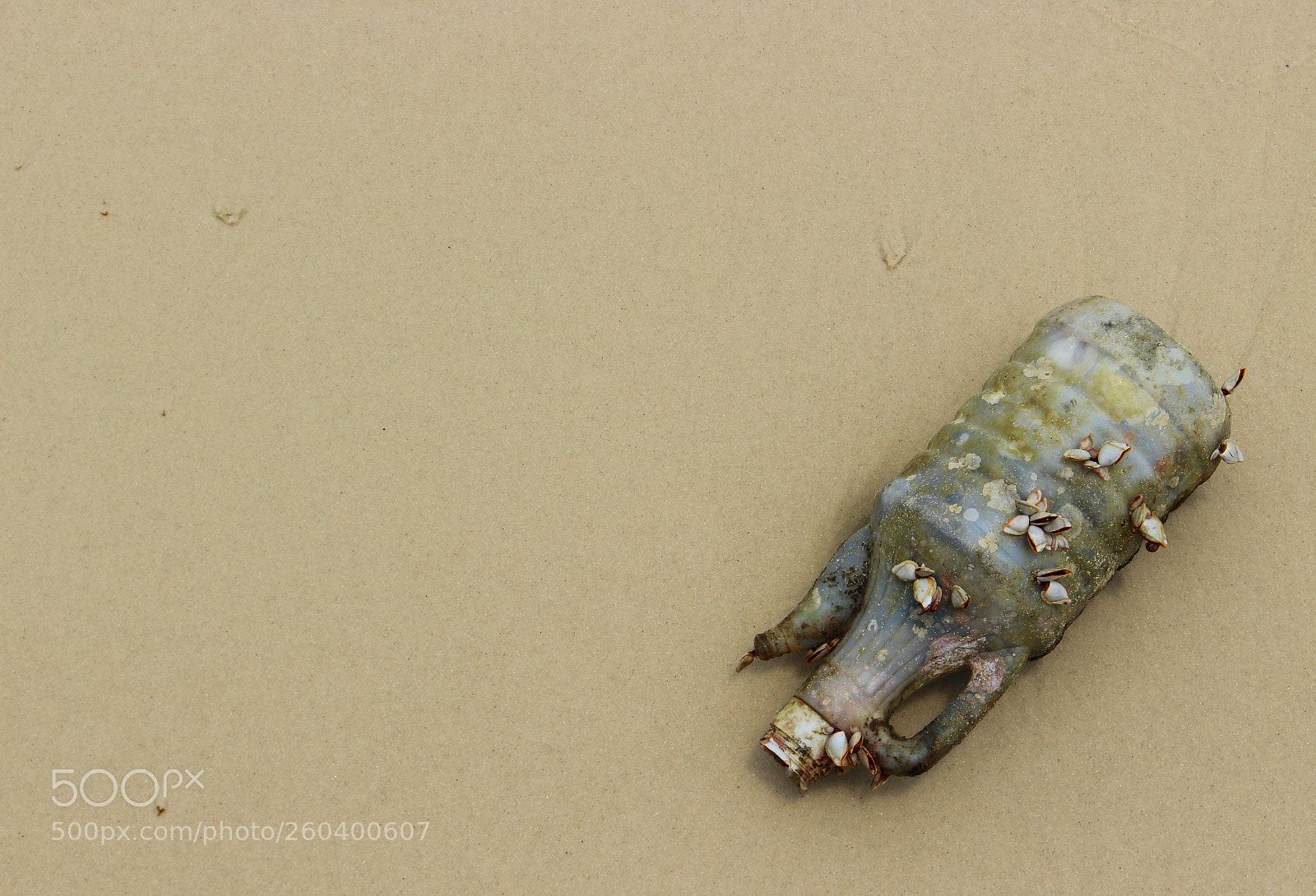 Canon EOS 100D (EOS Rebel SL1 / EOS Kiss X7) sample photo. Garbage on the beach photography