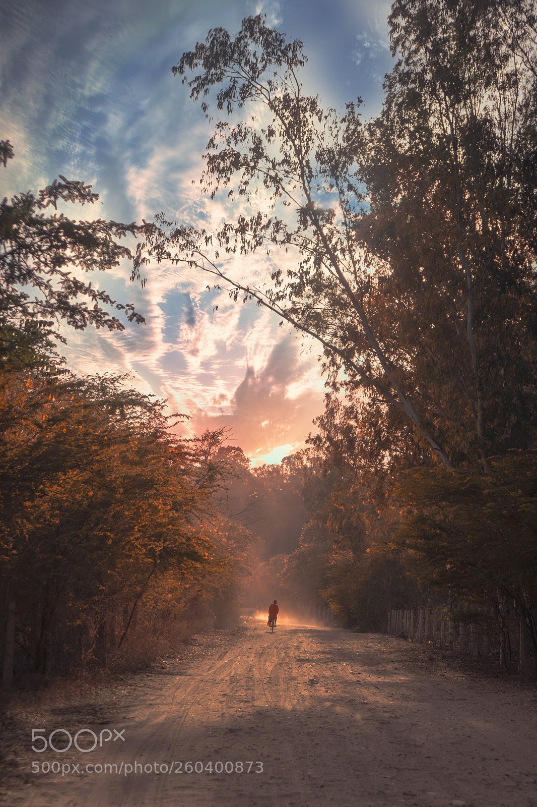 Sony a6300 sample photo. Untitled photography