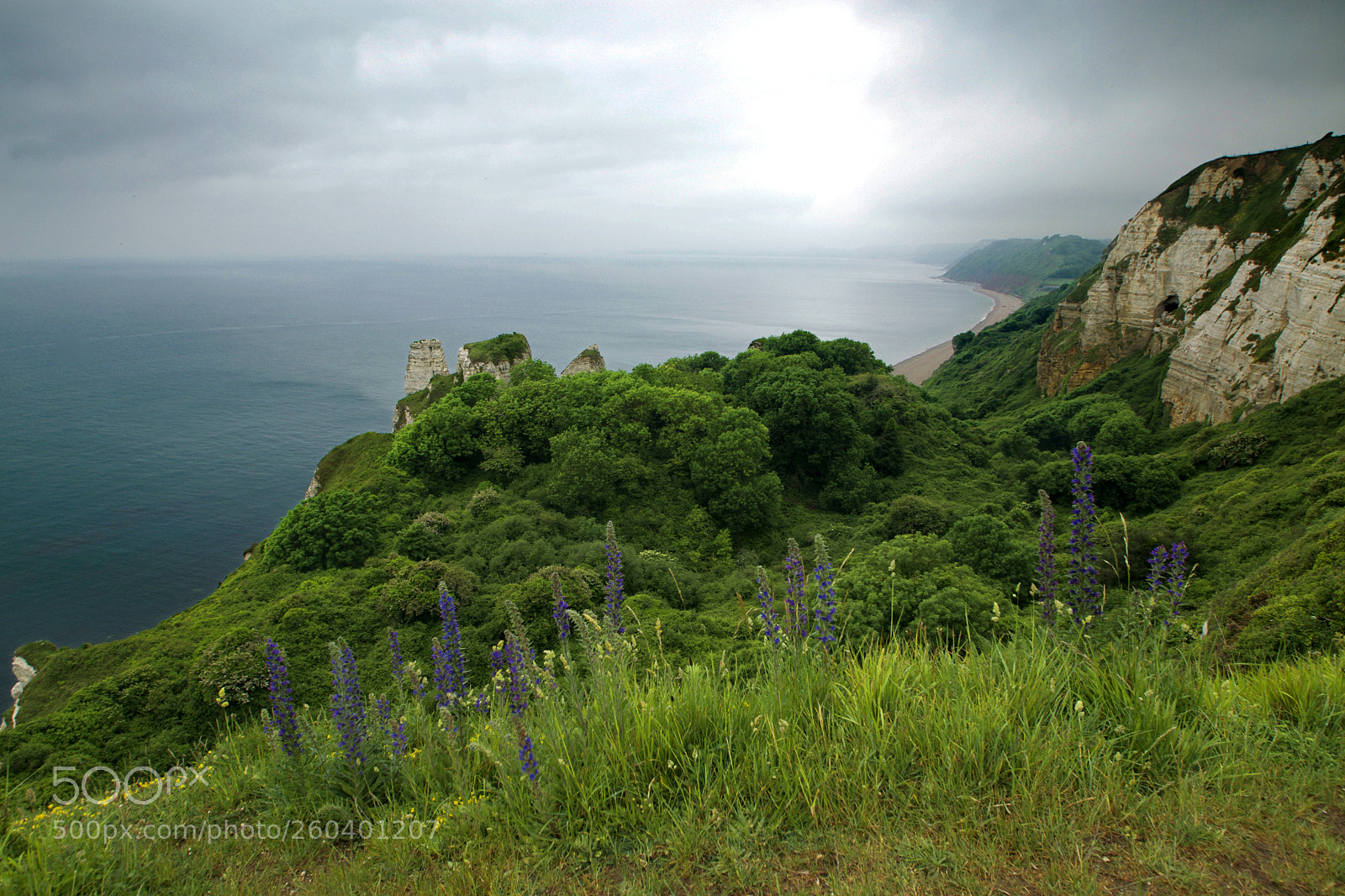 Nikon D3300 sample photo. The undercliff photography