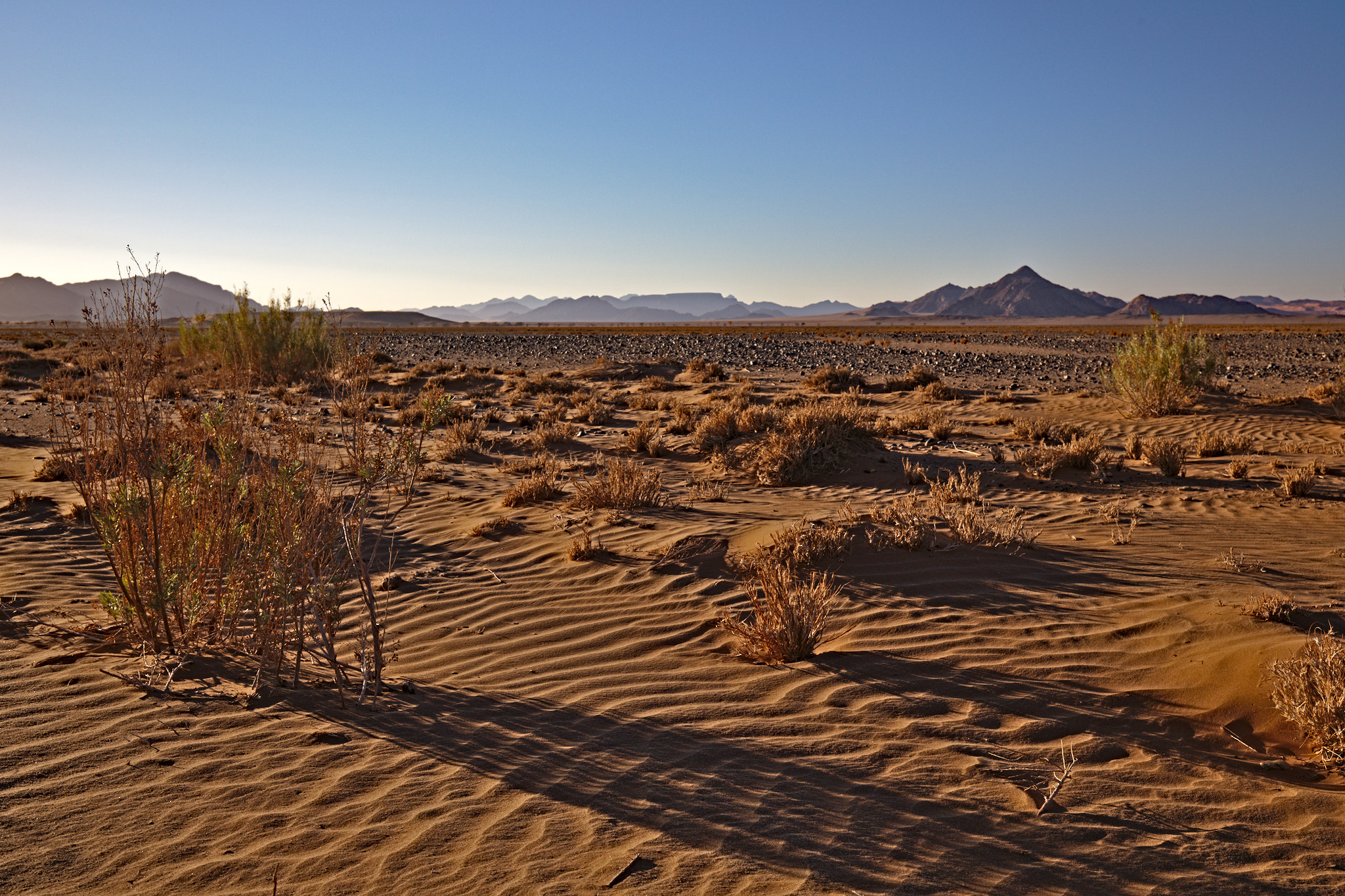 Canon EF 16-35mm F4L IS USM sample photo. Dune in the namib-naukluft national park (namibia) photography
