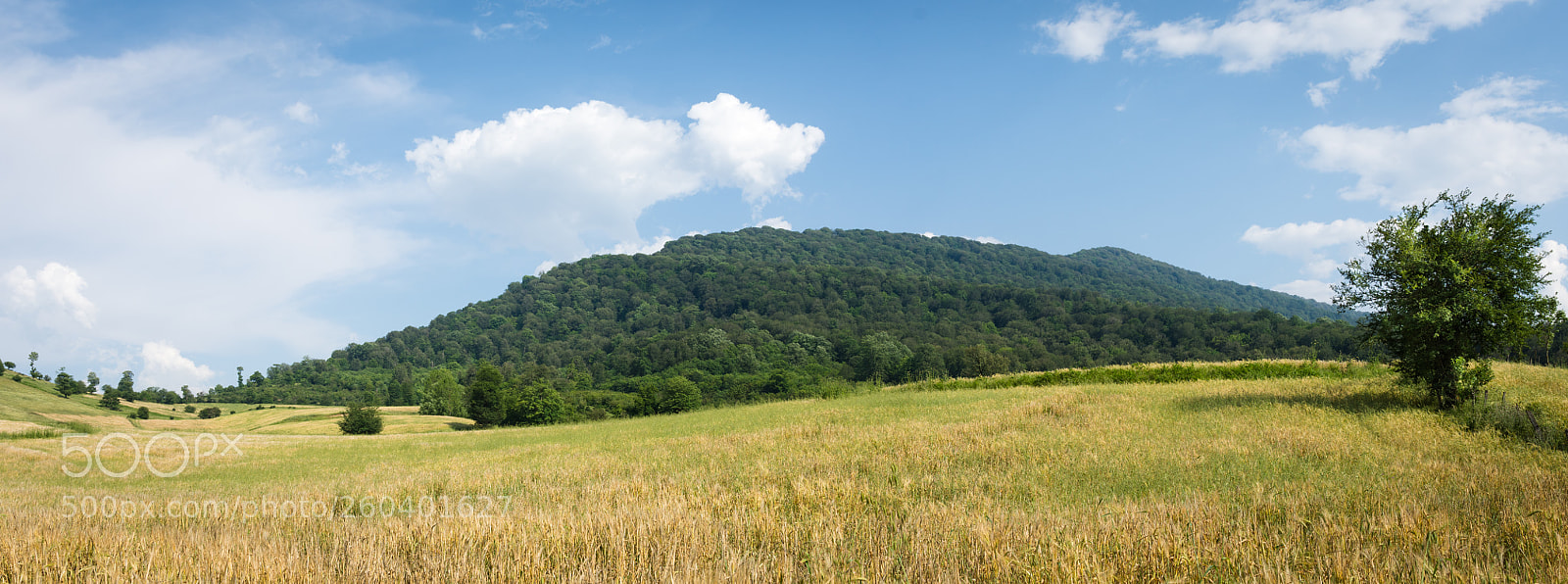 Nikon D7200 sample photo. Landscape photography