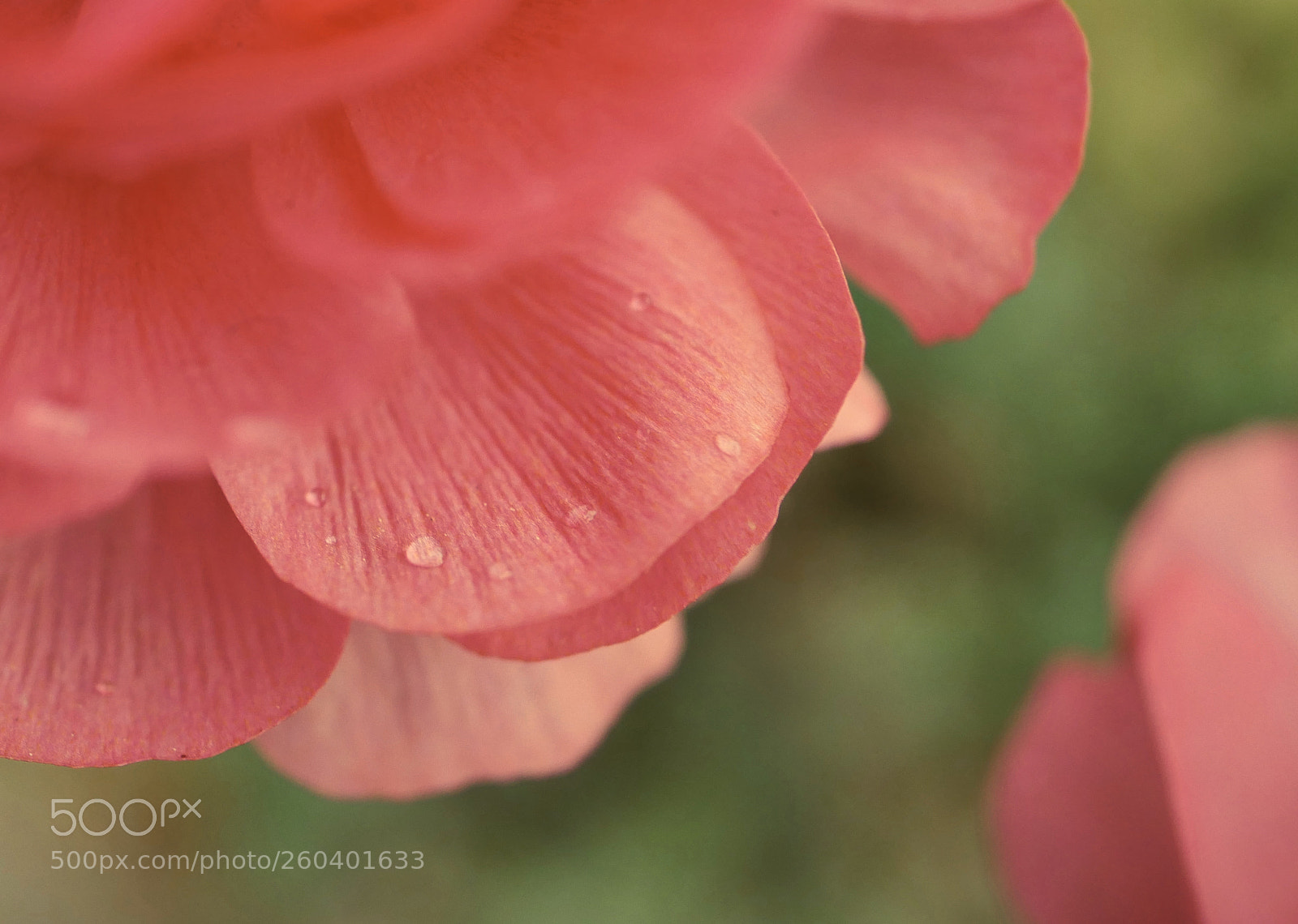 Panasonic Lumix DMC-GX8 sample photo. Part of colour photography
