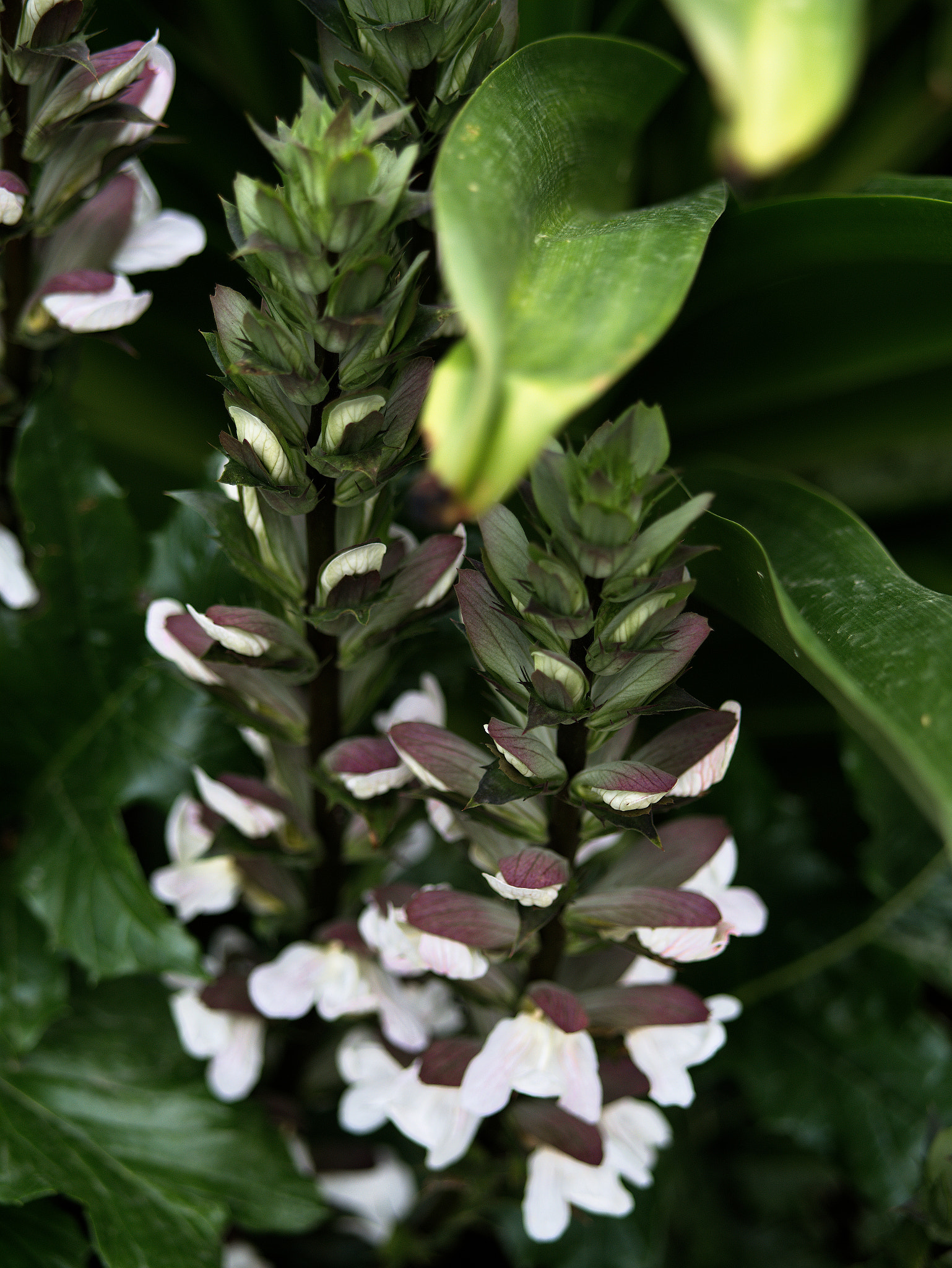 Panasonic Lumix DC-GX9 sample photo. *** photography