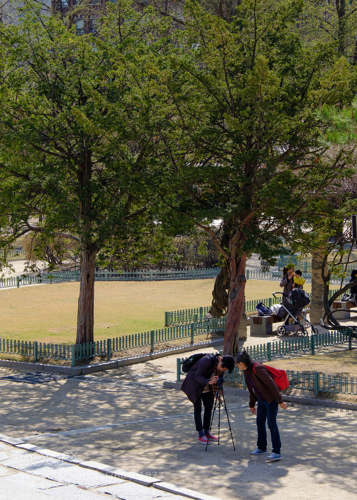Fujifilm X-T20 sample photo. Is the picture good? photography