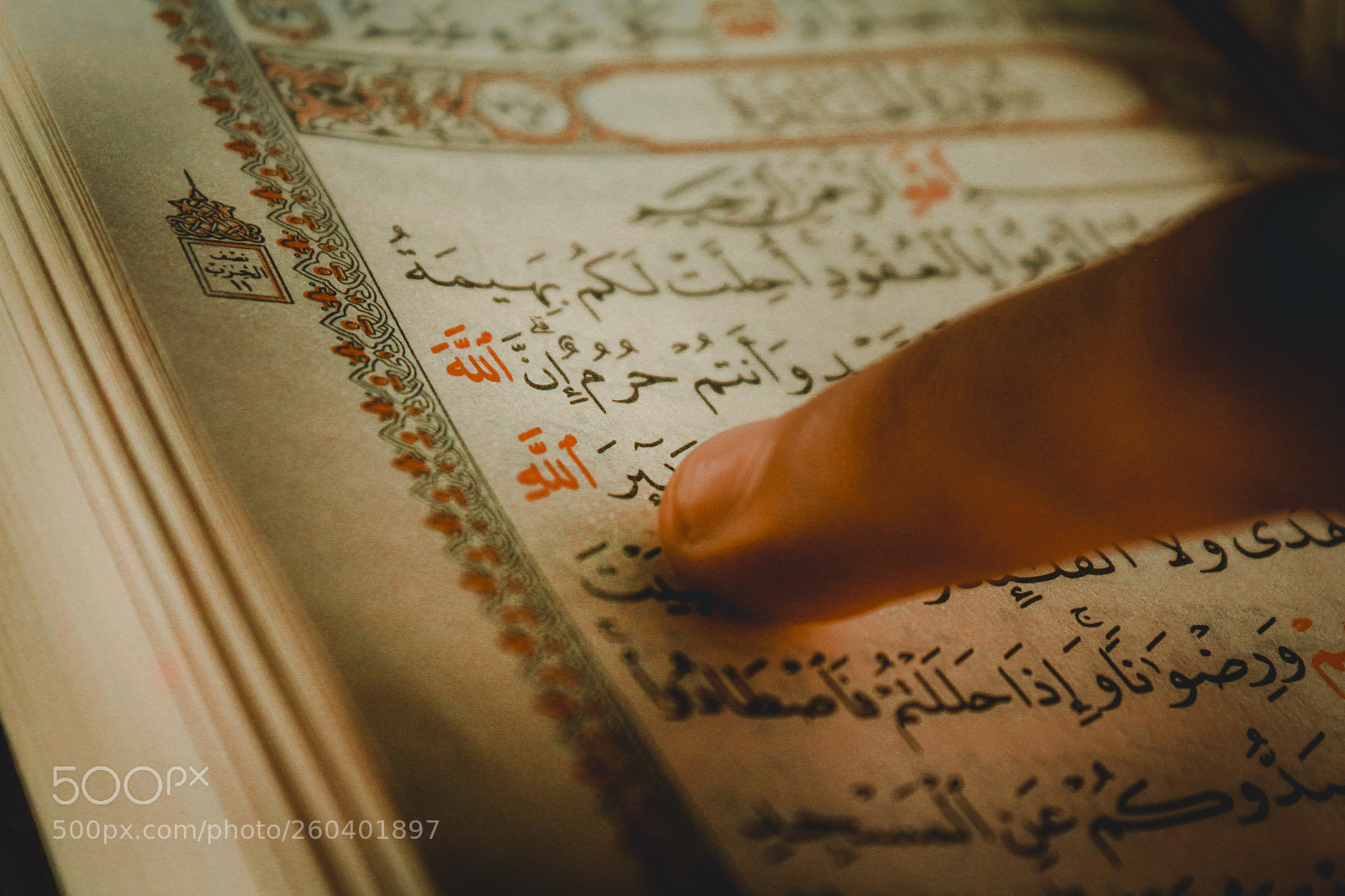 Canon EOS 550D (EOS Rebel T2i / EOS Kiss X4) sample photo. The holy quran photography