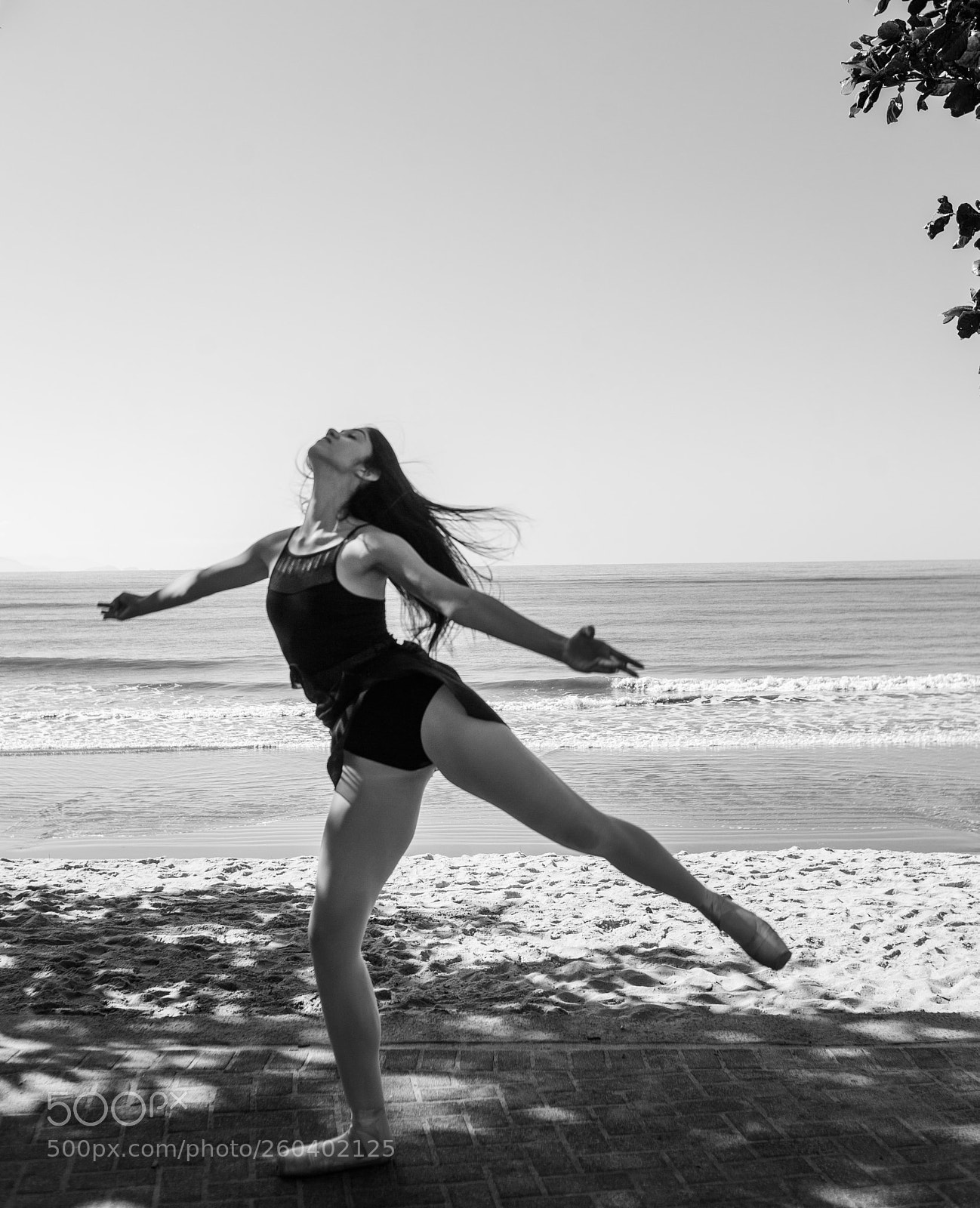 Canon EOS 5D Mark II sample photo. Landing photography