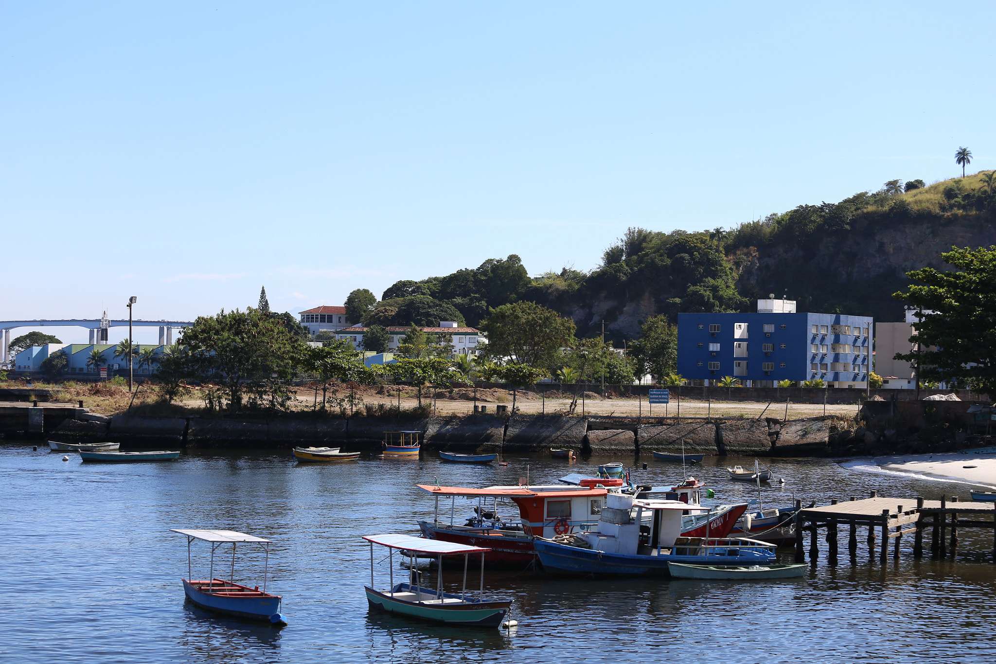 Canon EOS 6D + Canon EF 70-200mm F4L USM sample photo
