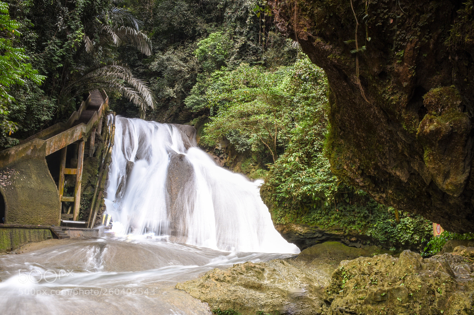 Nikon D7200 sample photo. Nature photography
