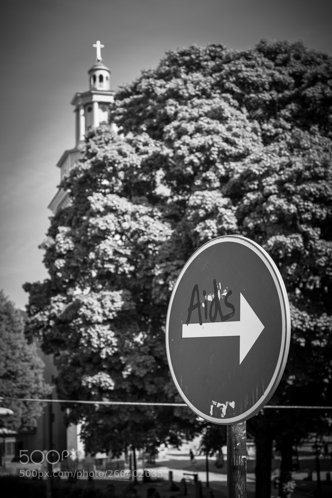 Canon EOS 5D Mark IV sample photo. Aids photography
