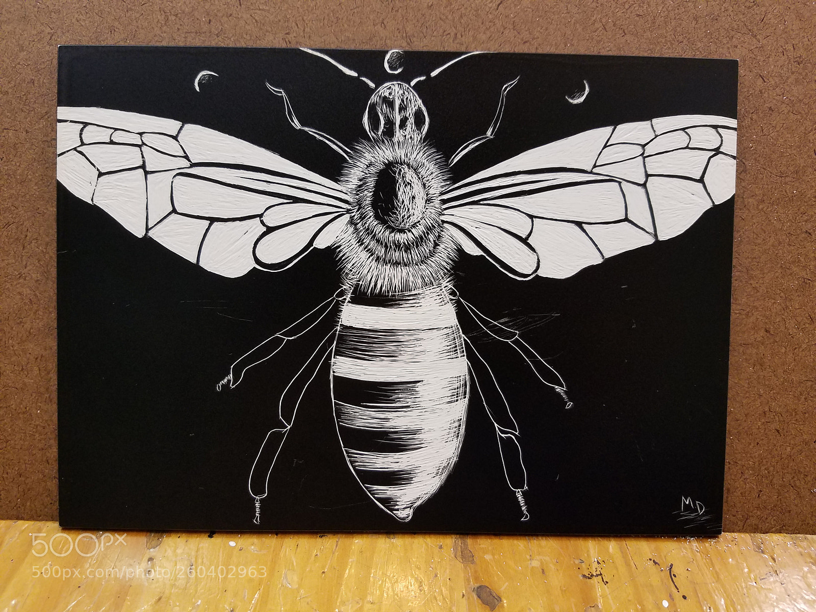 Samsung Galaxy S7 sample photo. Engraved bee photography
