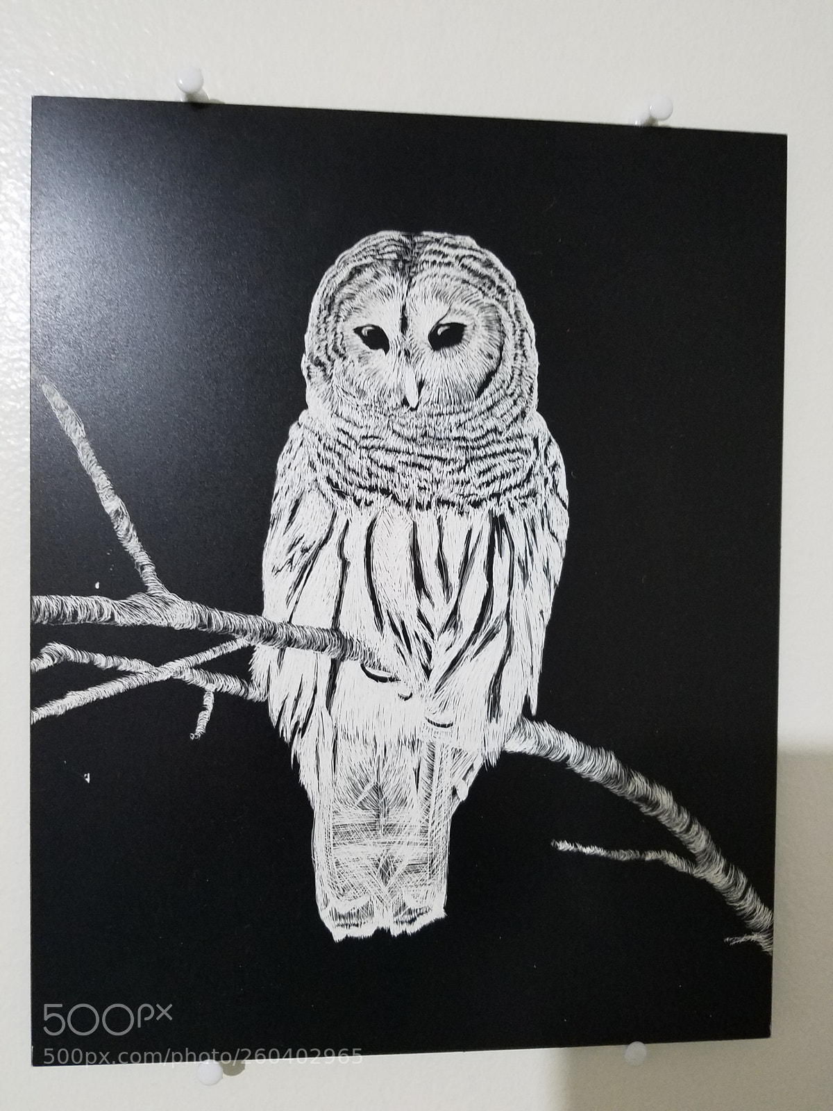 Samsung Galaxy S7 sample photo. Engraved owl photography