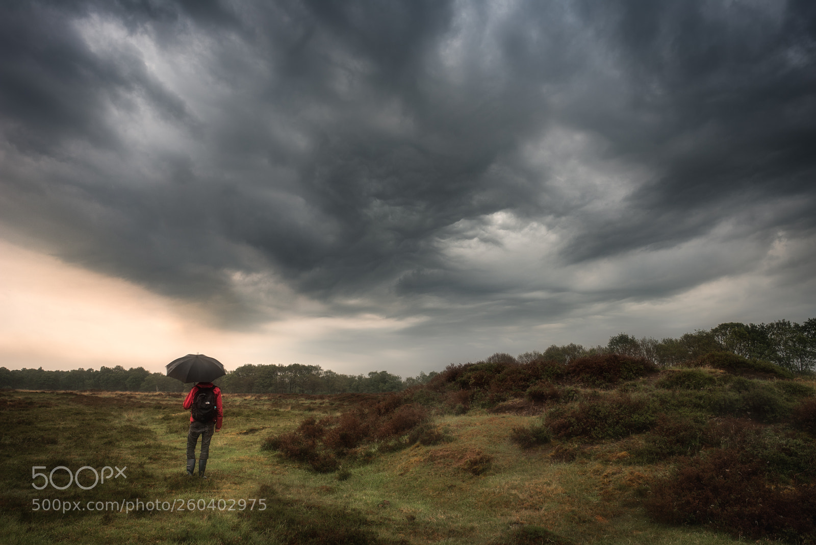 Nikon D750 sample photo. Storm photography