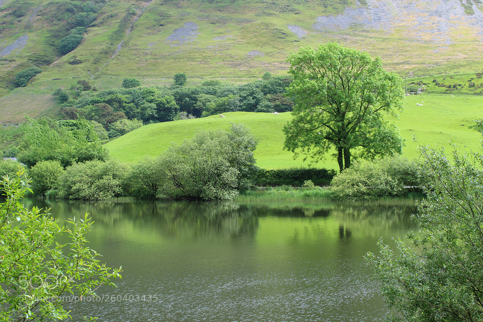 Canon EOS 1300D (EOS Rebel T6 / EOS Kiss X80) sample photo. Tal y llyn lake photography