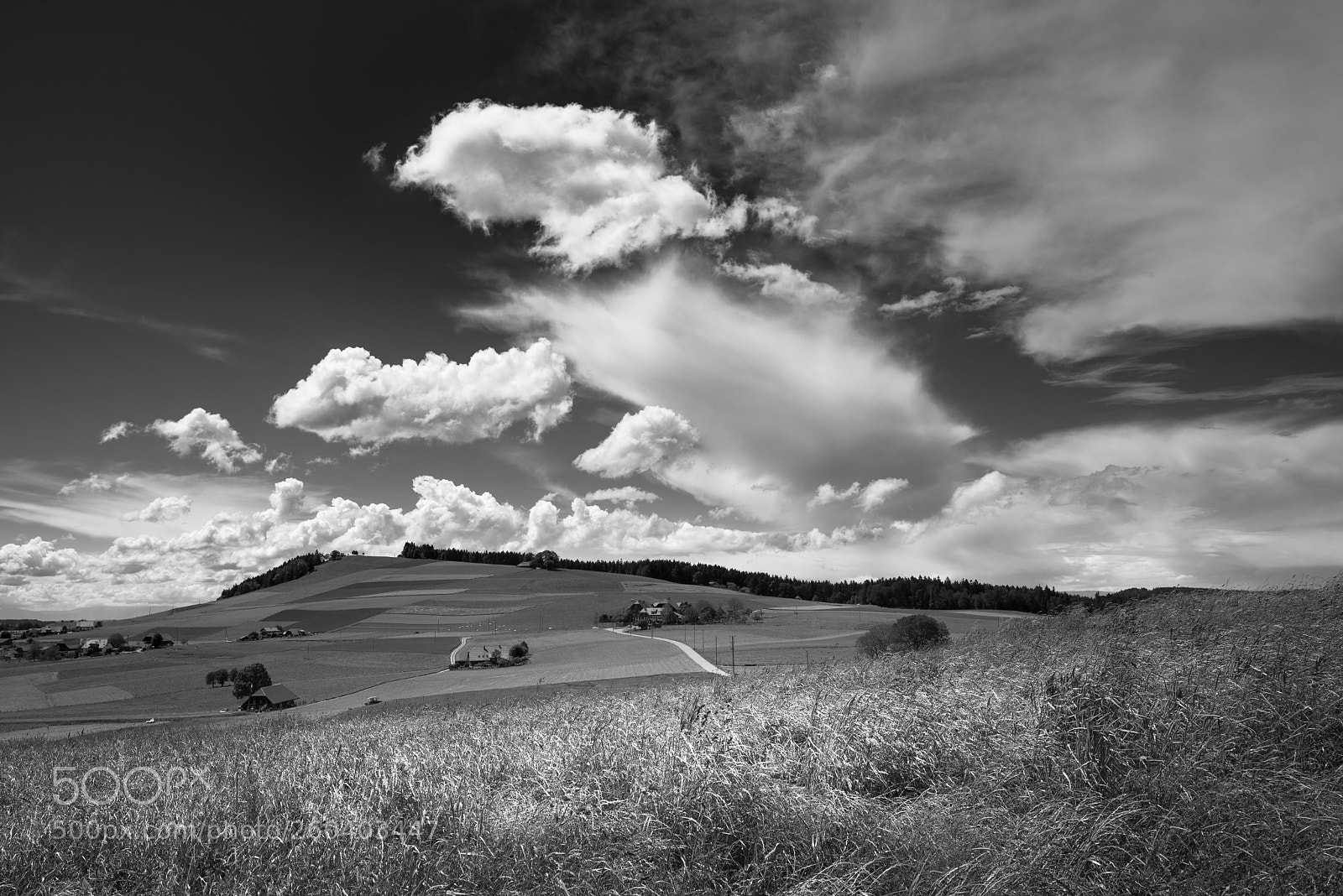 Nikon D600 sample photo. Blue sky photography