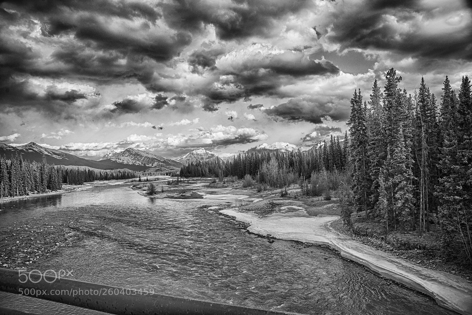 Nikon D610 sample photo. From the bridge photography
