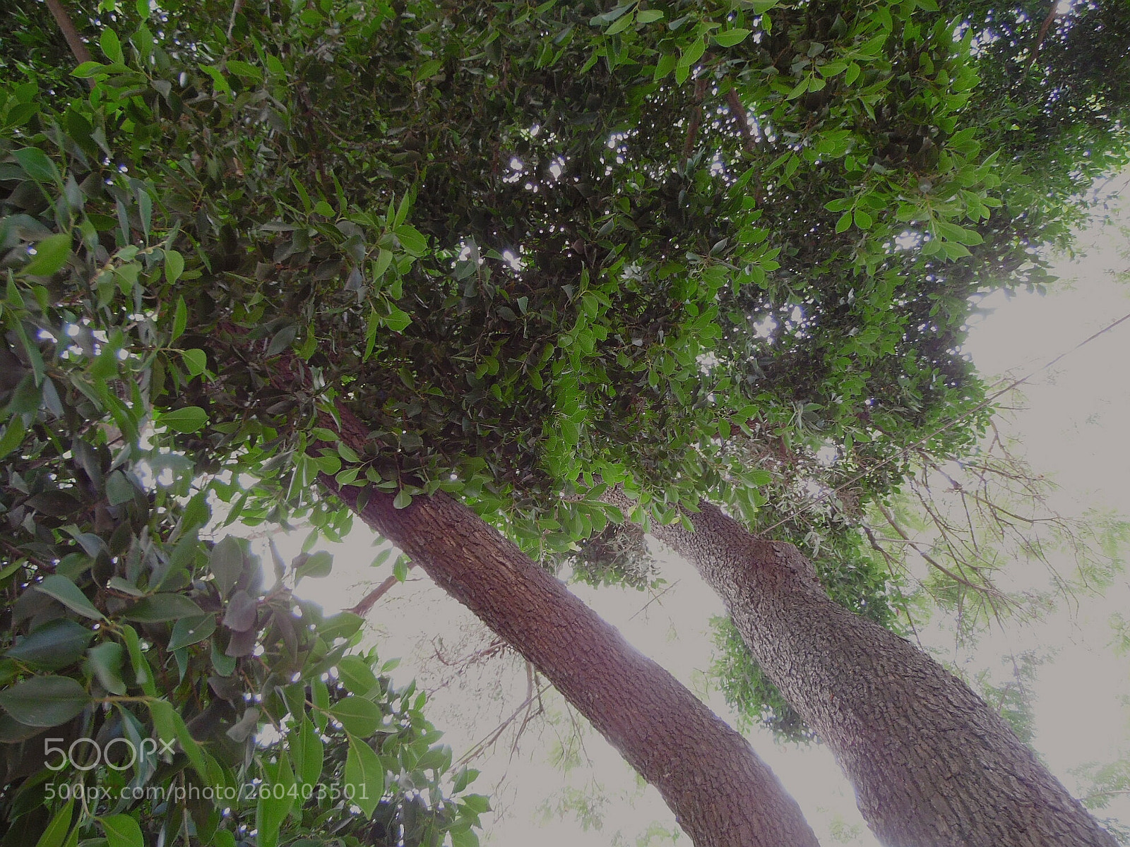 Samsung WB1100F/WB1101F/WB1102F sample photo. Universe perspective photography
