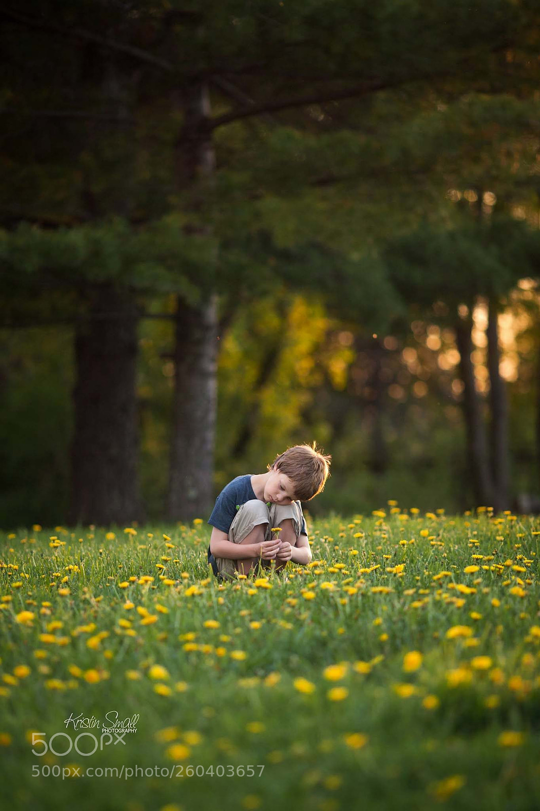 Canon EOS 5D Mark II sample photo. Lost in the dandelions photography