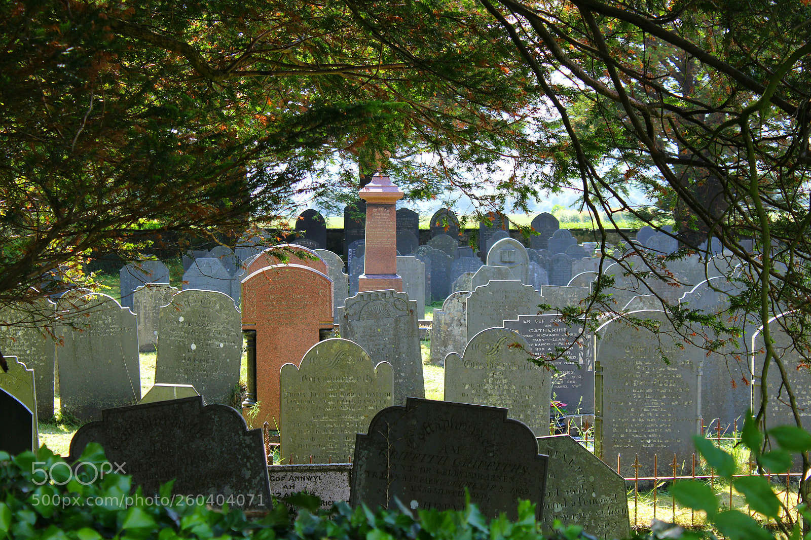 Canon EOS 1300D (EOS Rebel T6 / EOS Kiss X80) sample photo. Silent crowd photography