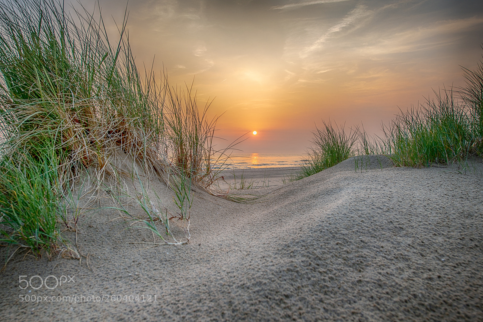 Nikon D850 sample photo. A lovely sunset photography