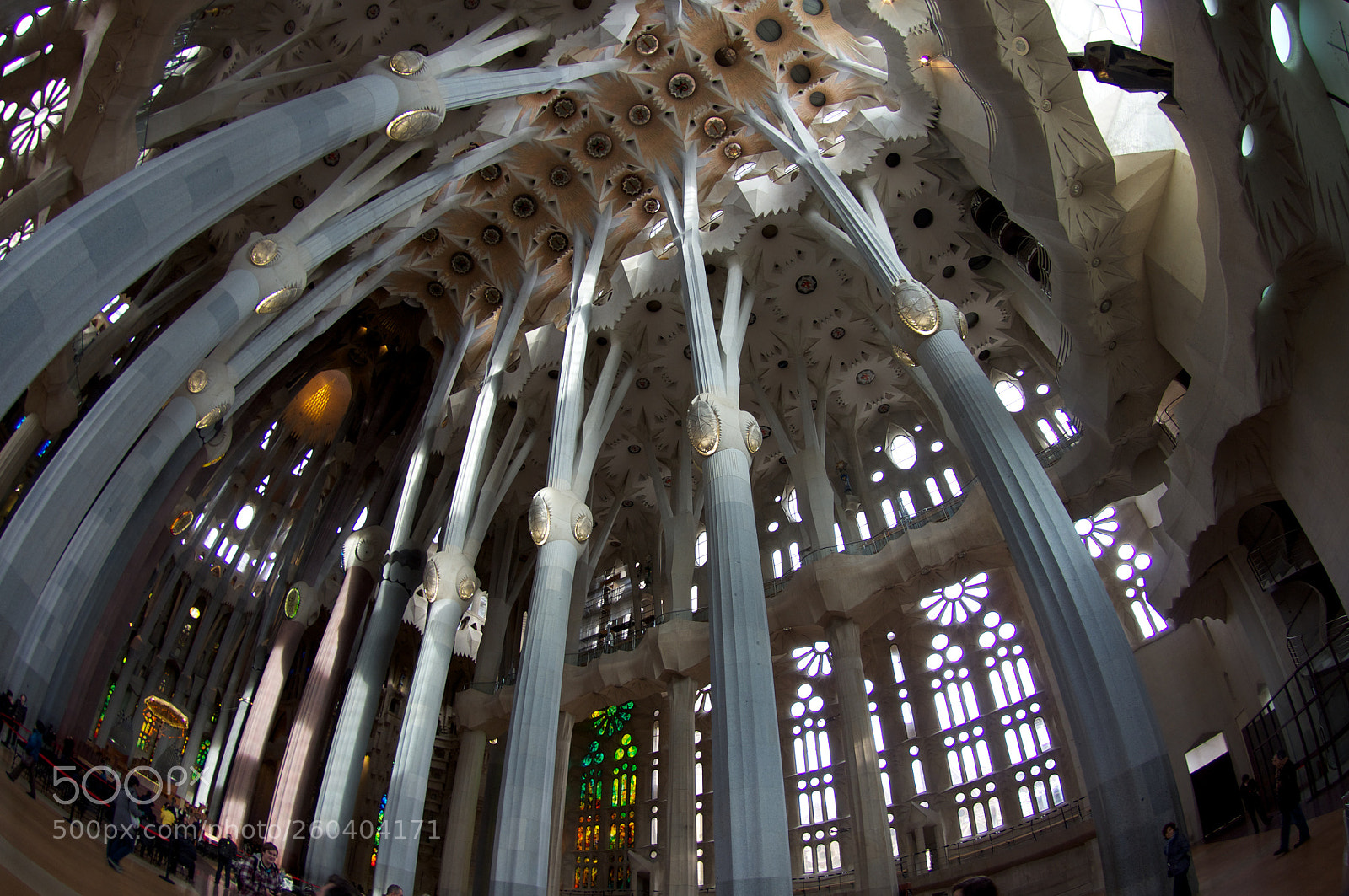 Pentax K-r sample photo. The canopy photography