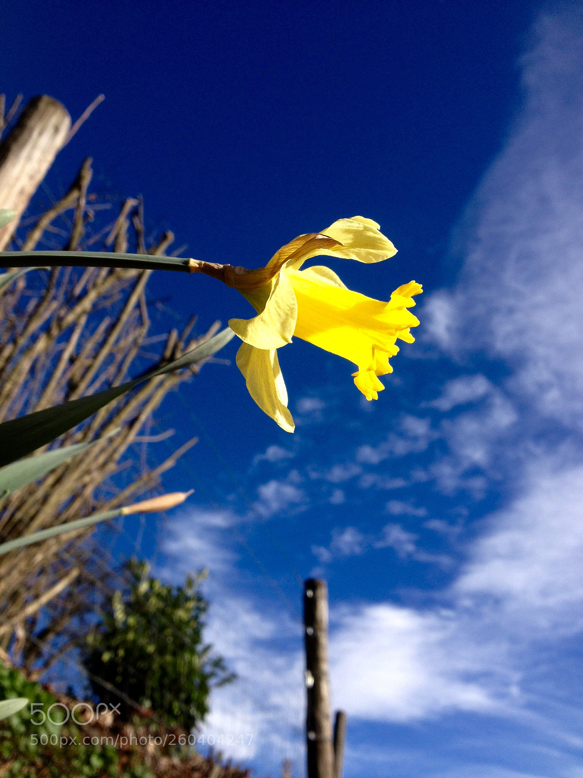 Apple iPhone 4S sample photo. Fullsizerender photography