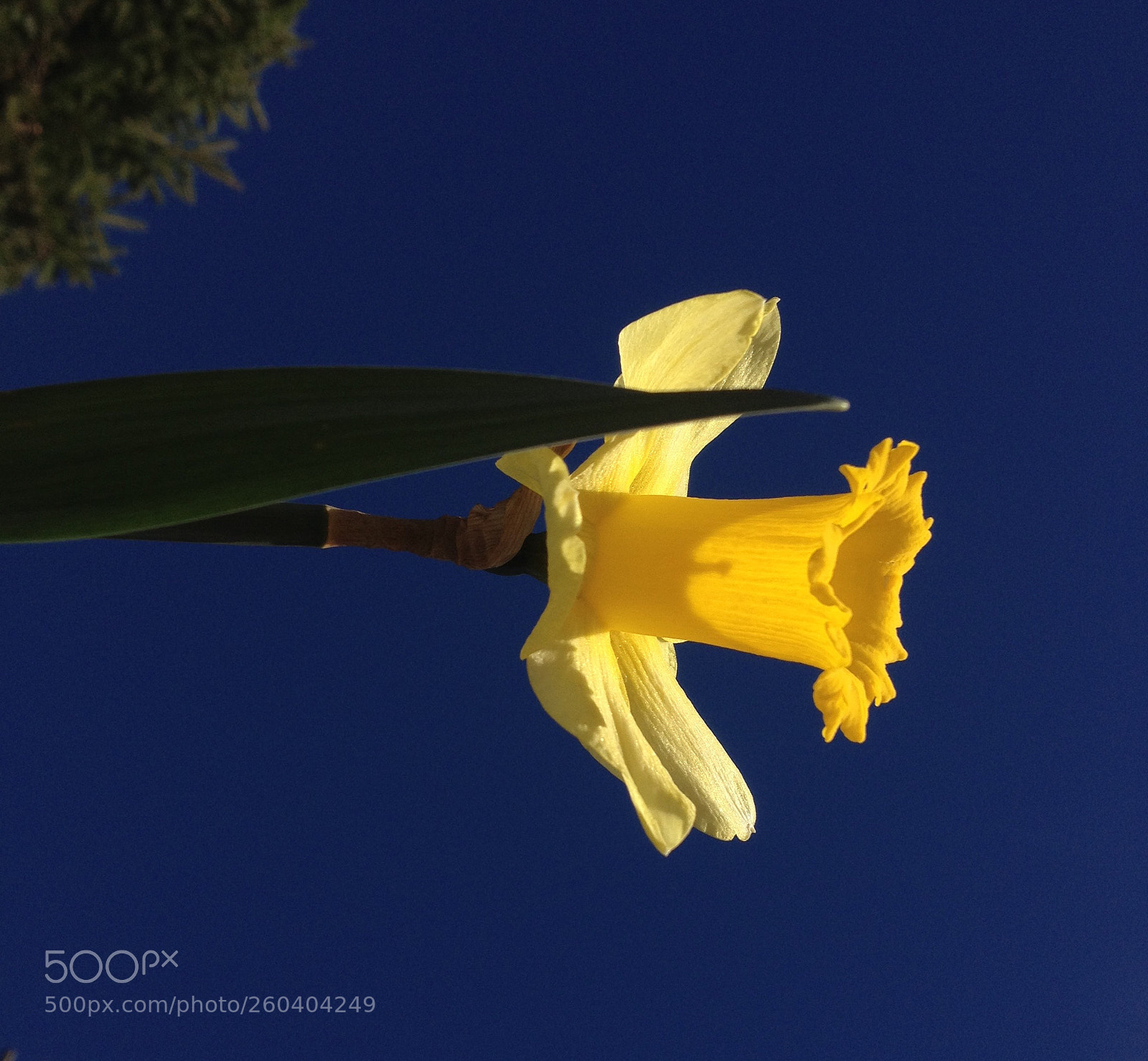 Apple iPhone 4S sample photo. Fullsizerender photography