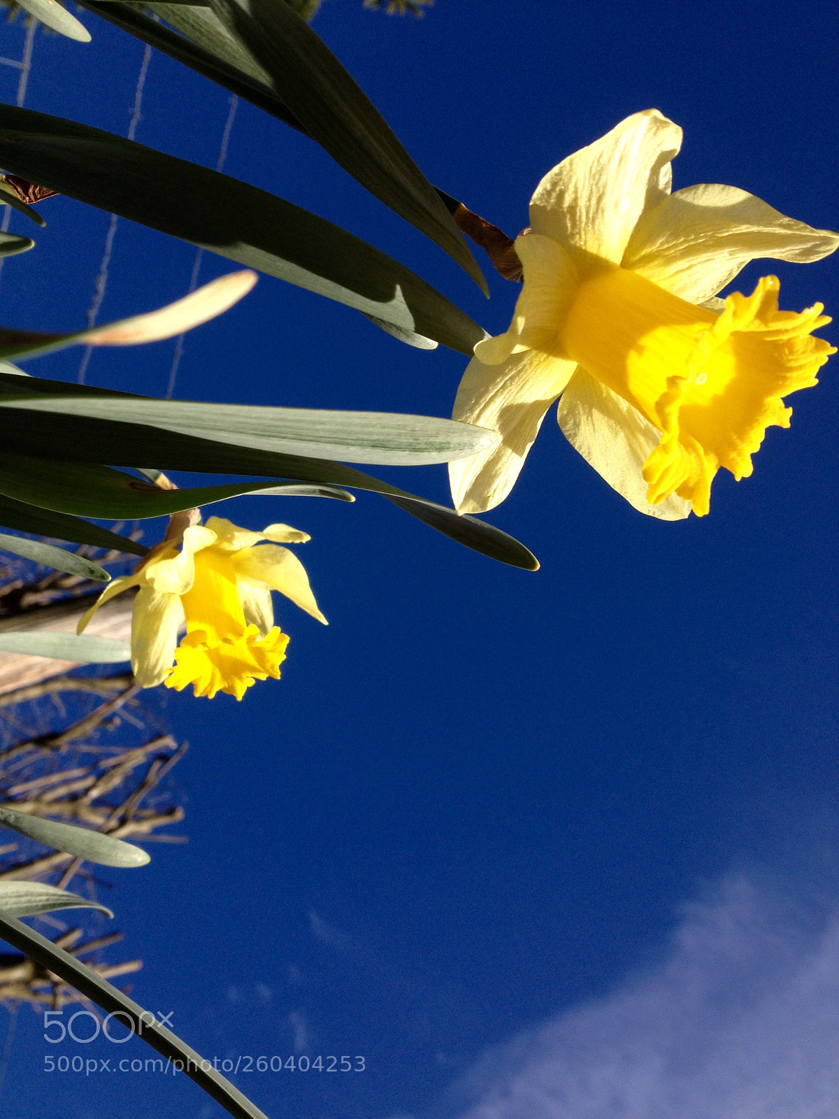 Apple iPhone 4S sample photo. Fullsizerender photography