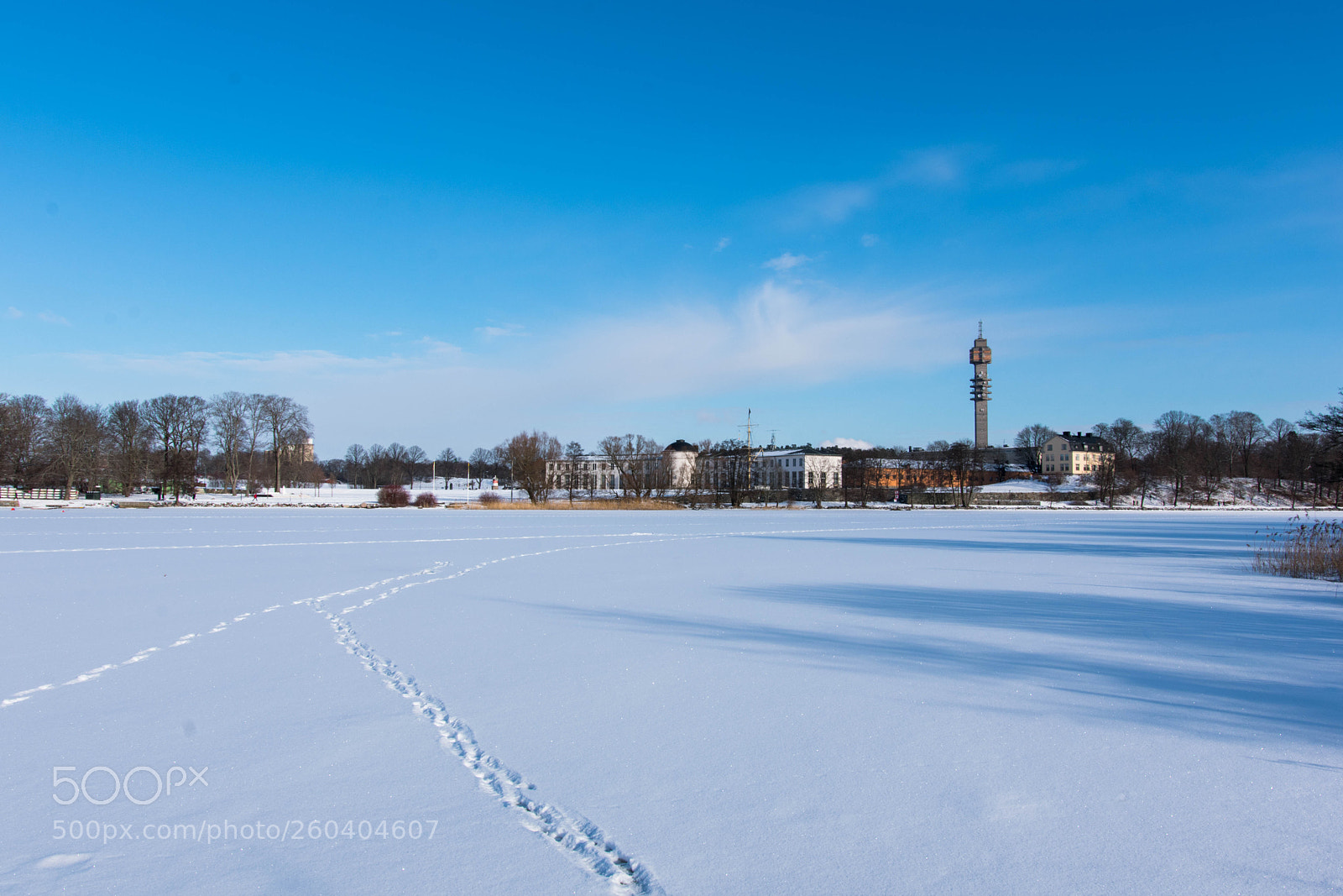 Nikon D3400 sample photo. White winter photography