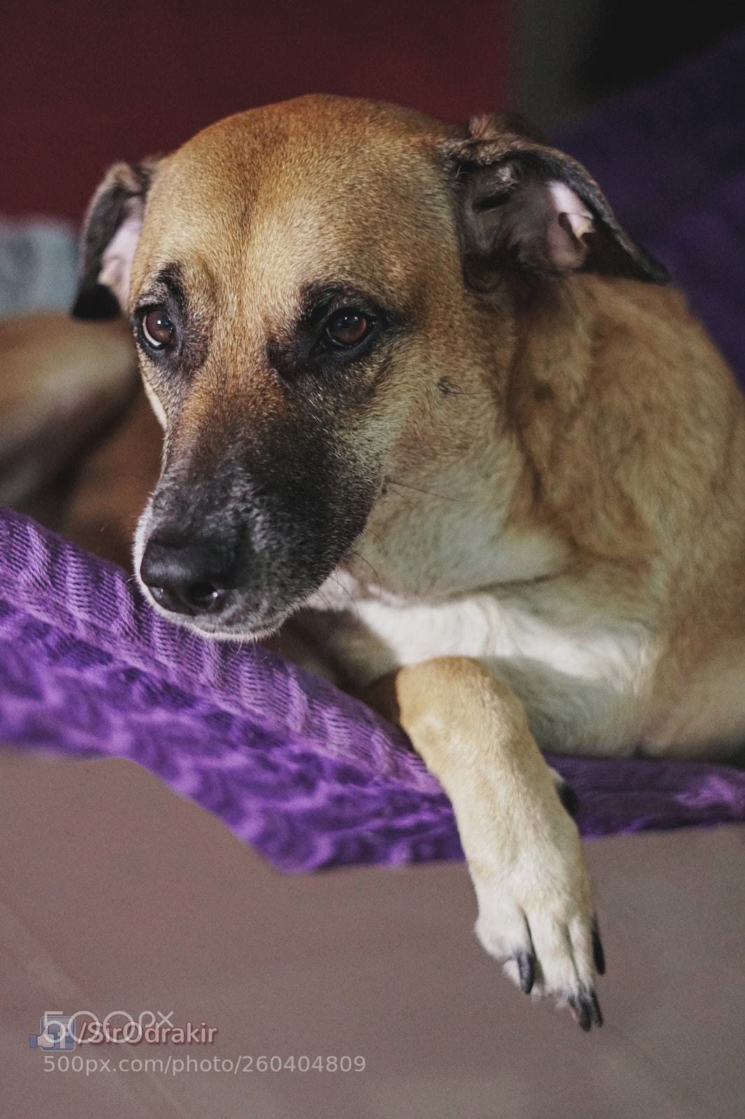 Sony a6300 sample photo. En la hamaca in photography