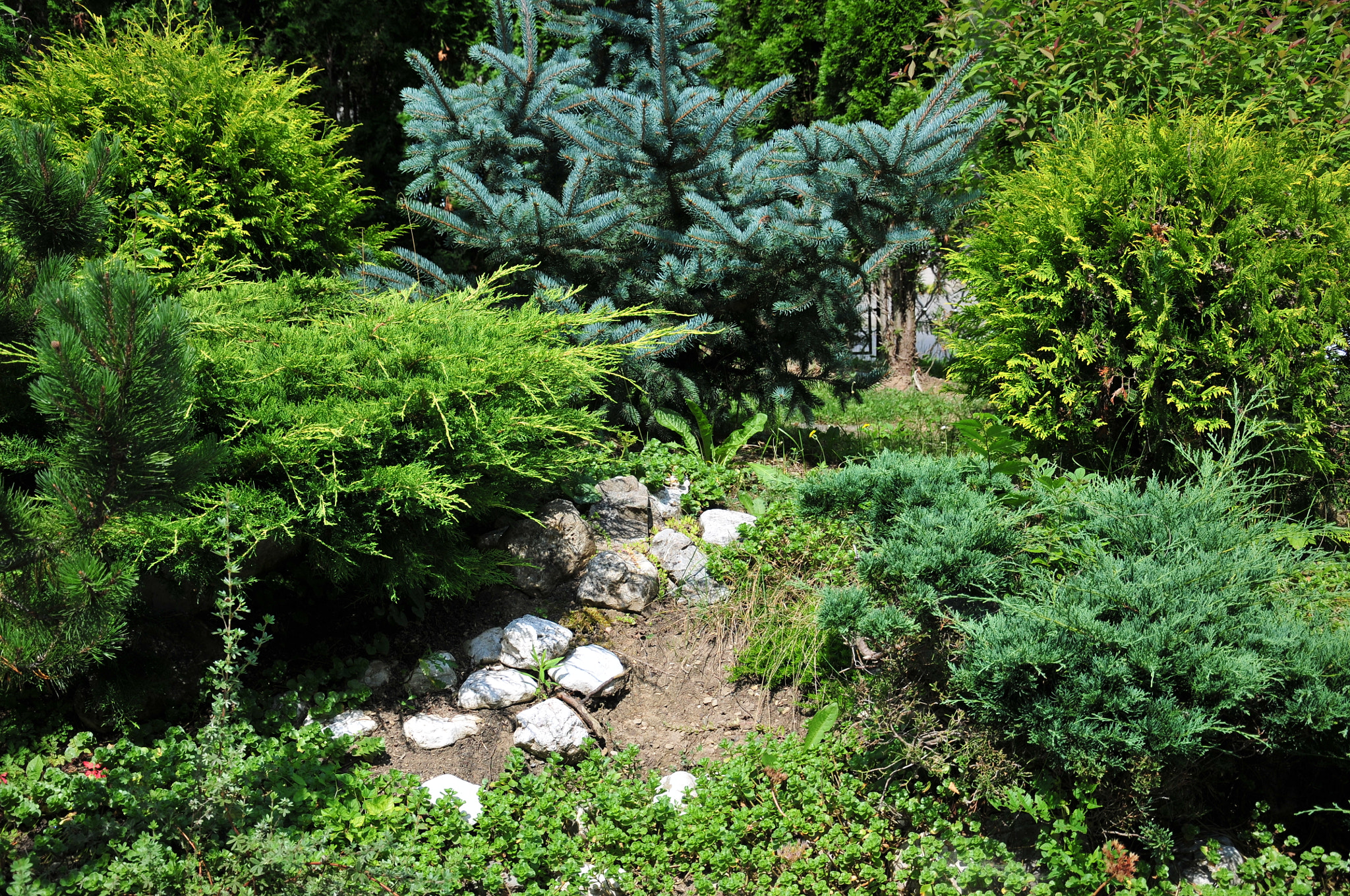 Nikon D300 sample photo. Park landscape photography