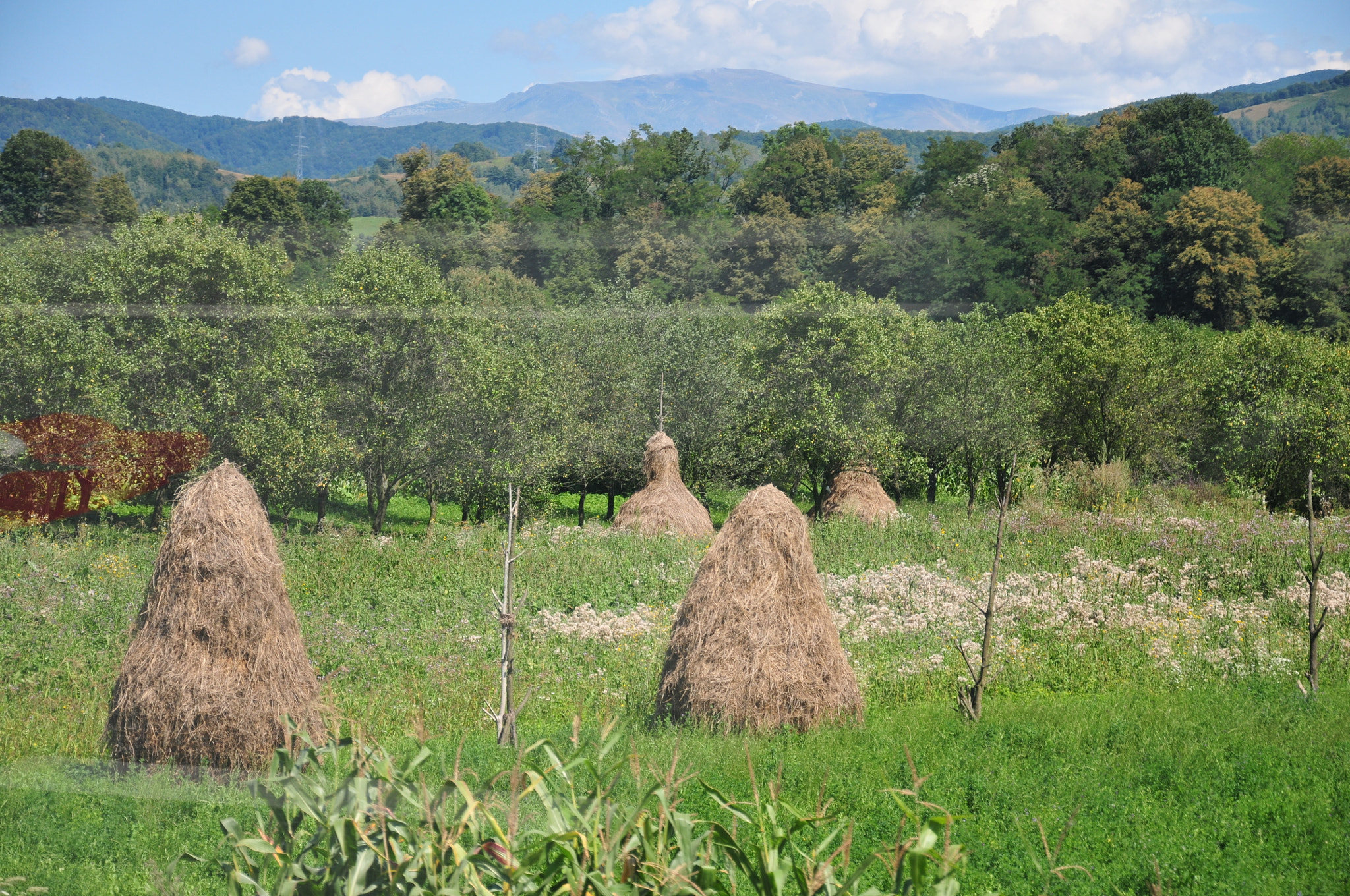 Nikon D300 sample photo. Hay landscape photography