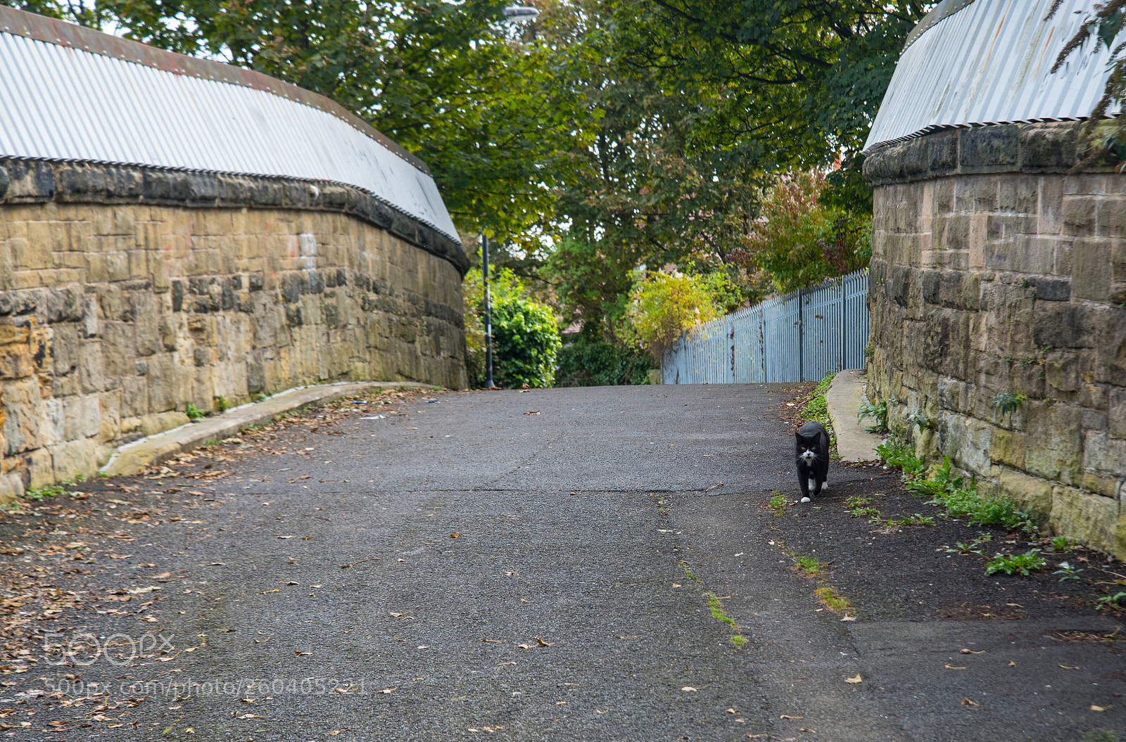Nikon D750 sample photo. Catwalk photography