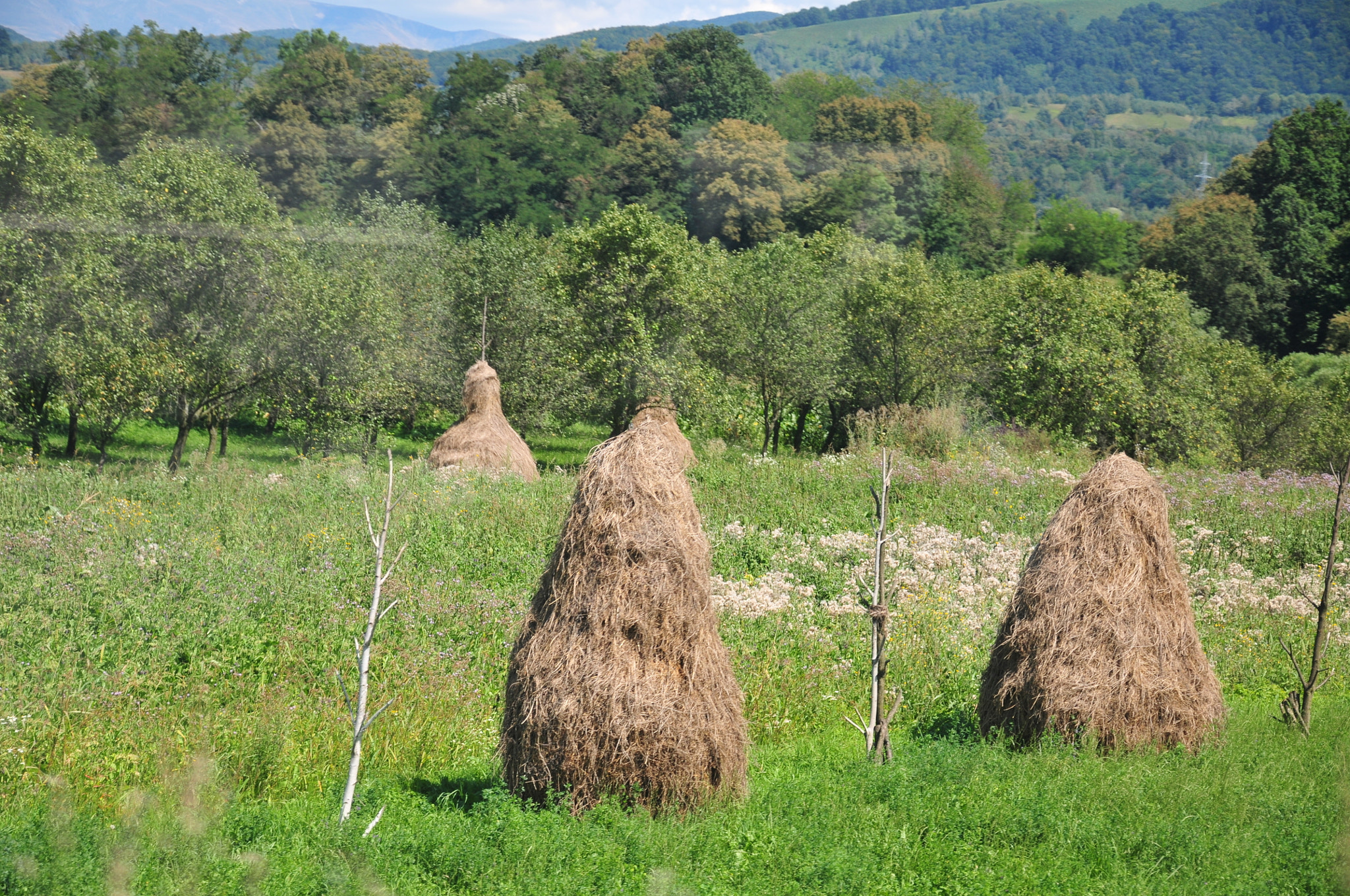 Nikon D300 sample photo. Hay landscape photography