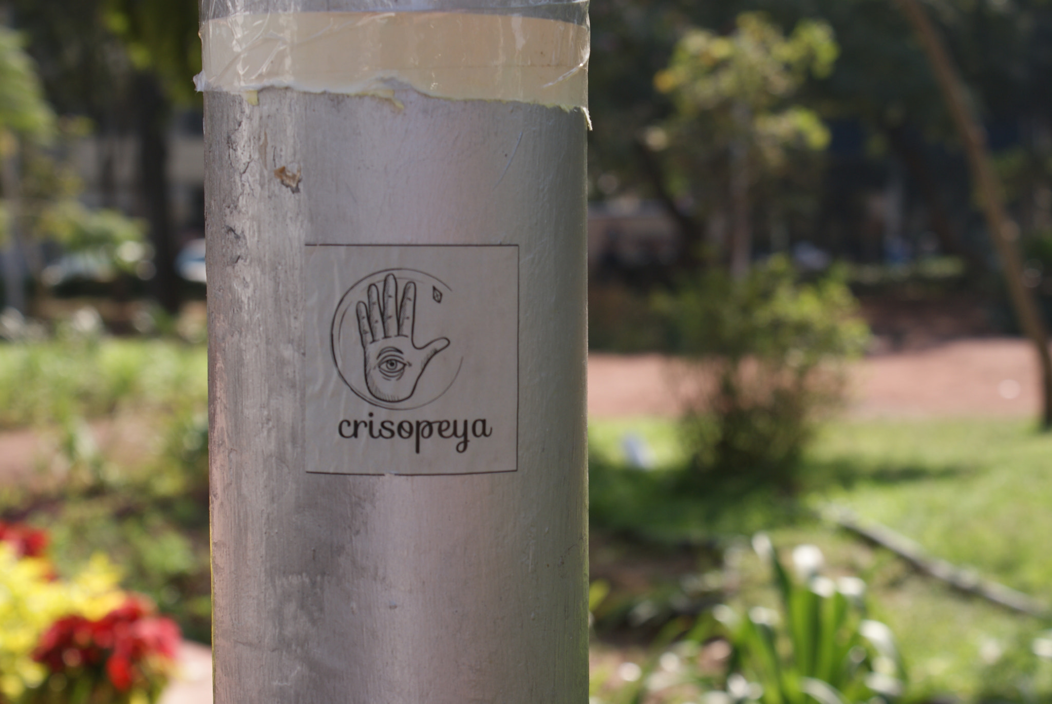 Sony DT 18-70mm F3.5-5.6 sample photo. Crisopeya photography