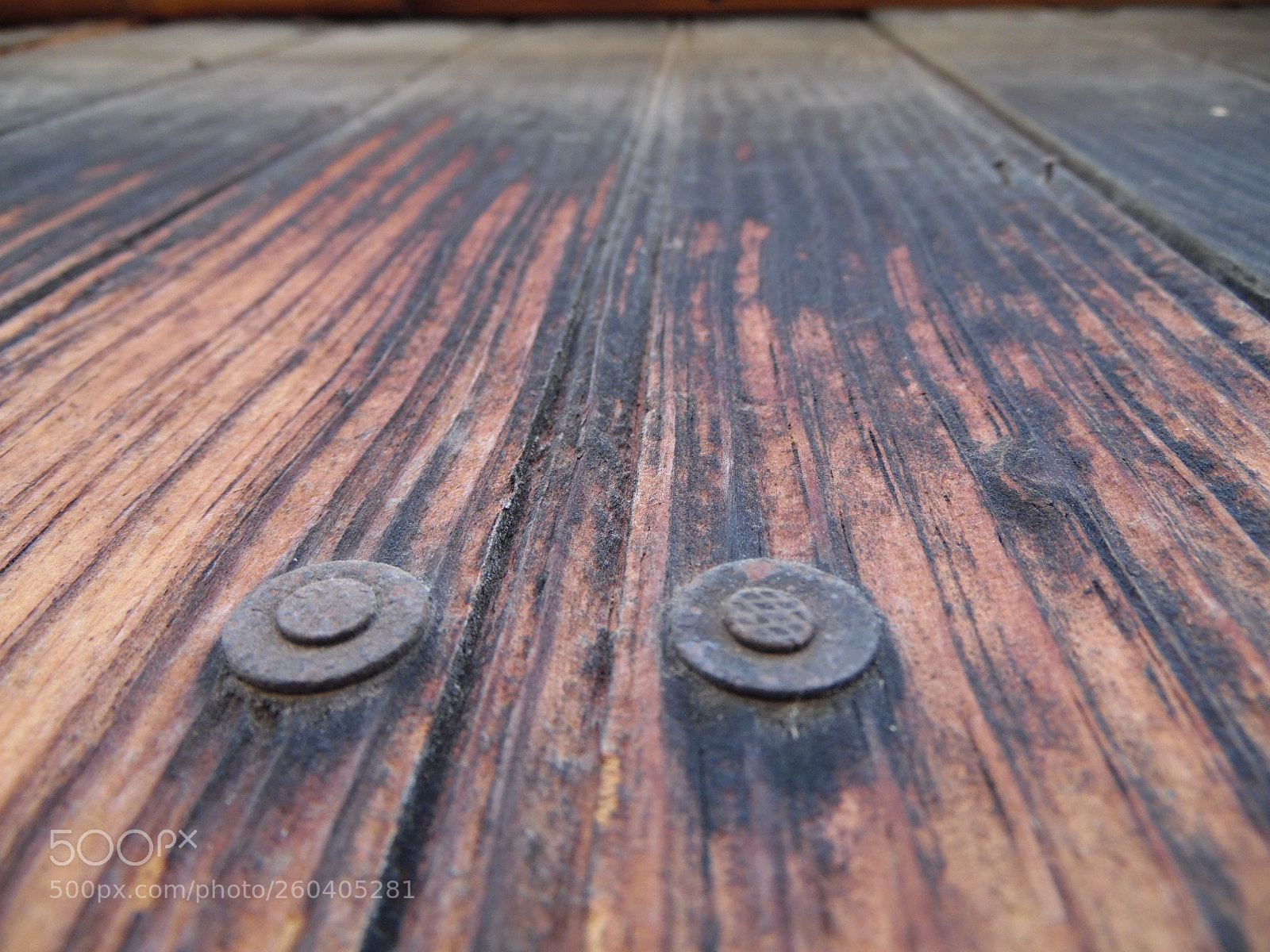 Samsung WB1100F/WB1101F/WB1102F sample photo. Ancient wood photography